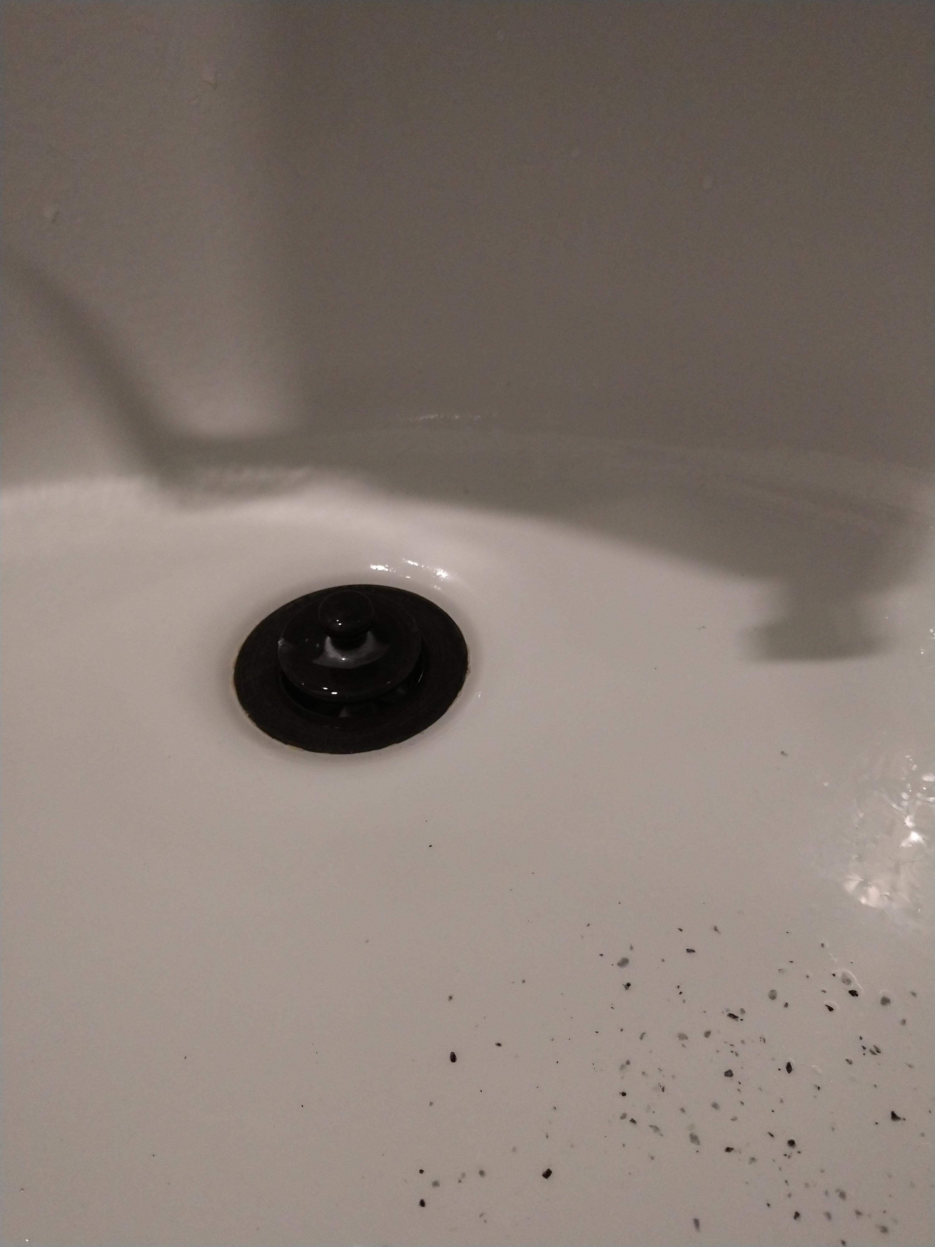 Have some gray/black flakes coming from my hot water source. I have a