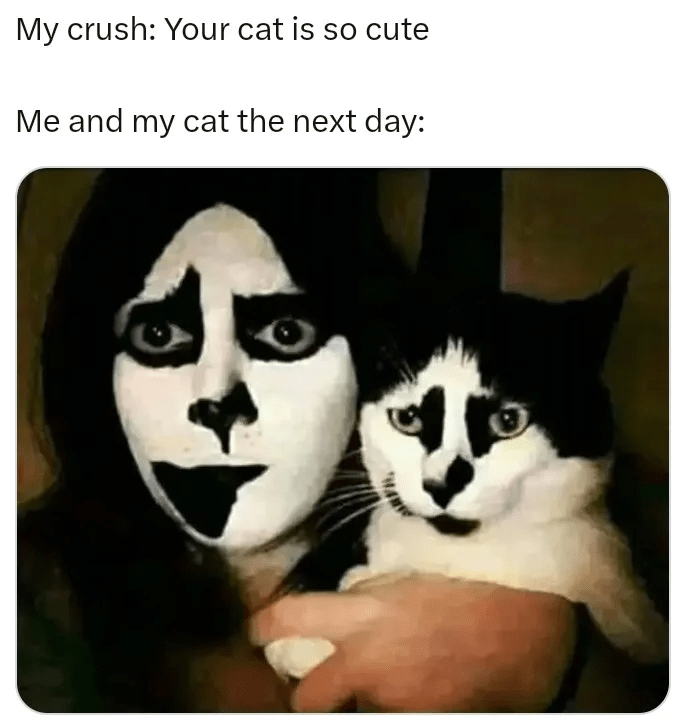 Goth cat r/Catmemes