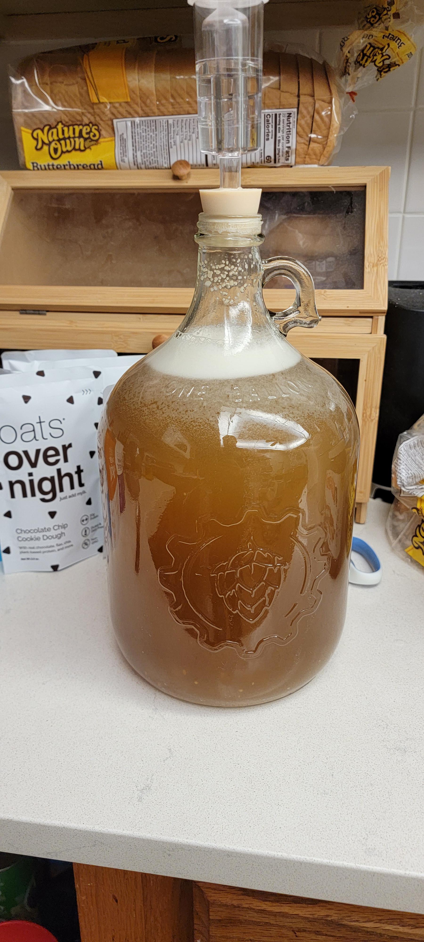 1st time brewer r/mead