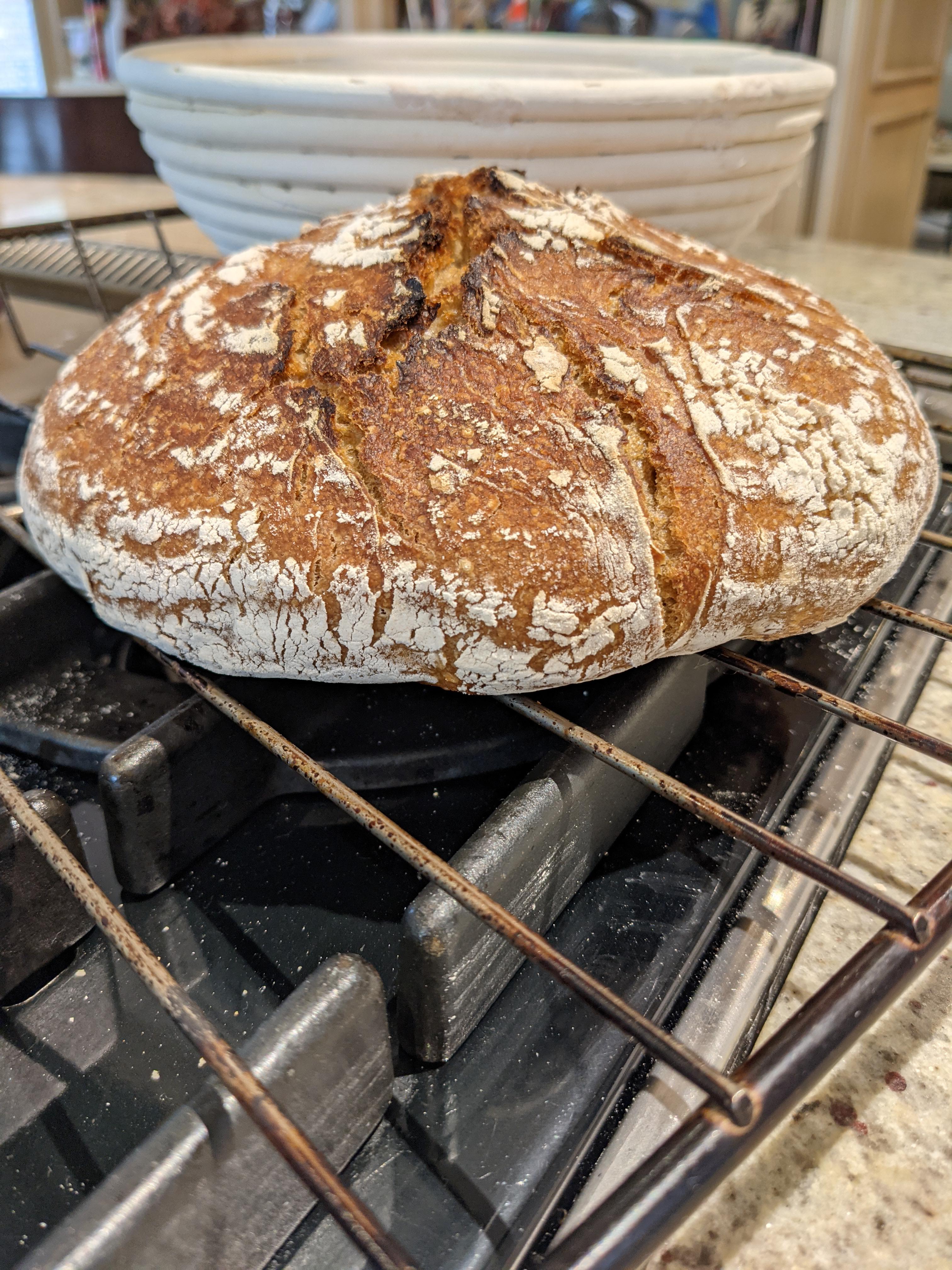 My boules are yummy but very flat. What is the culprit? Underfermentation, poor shaping? r