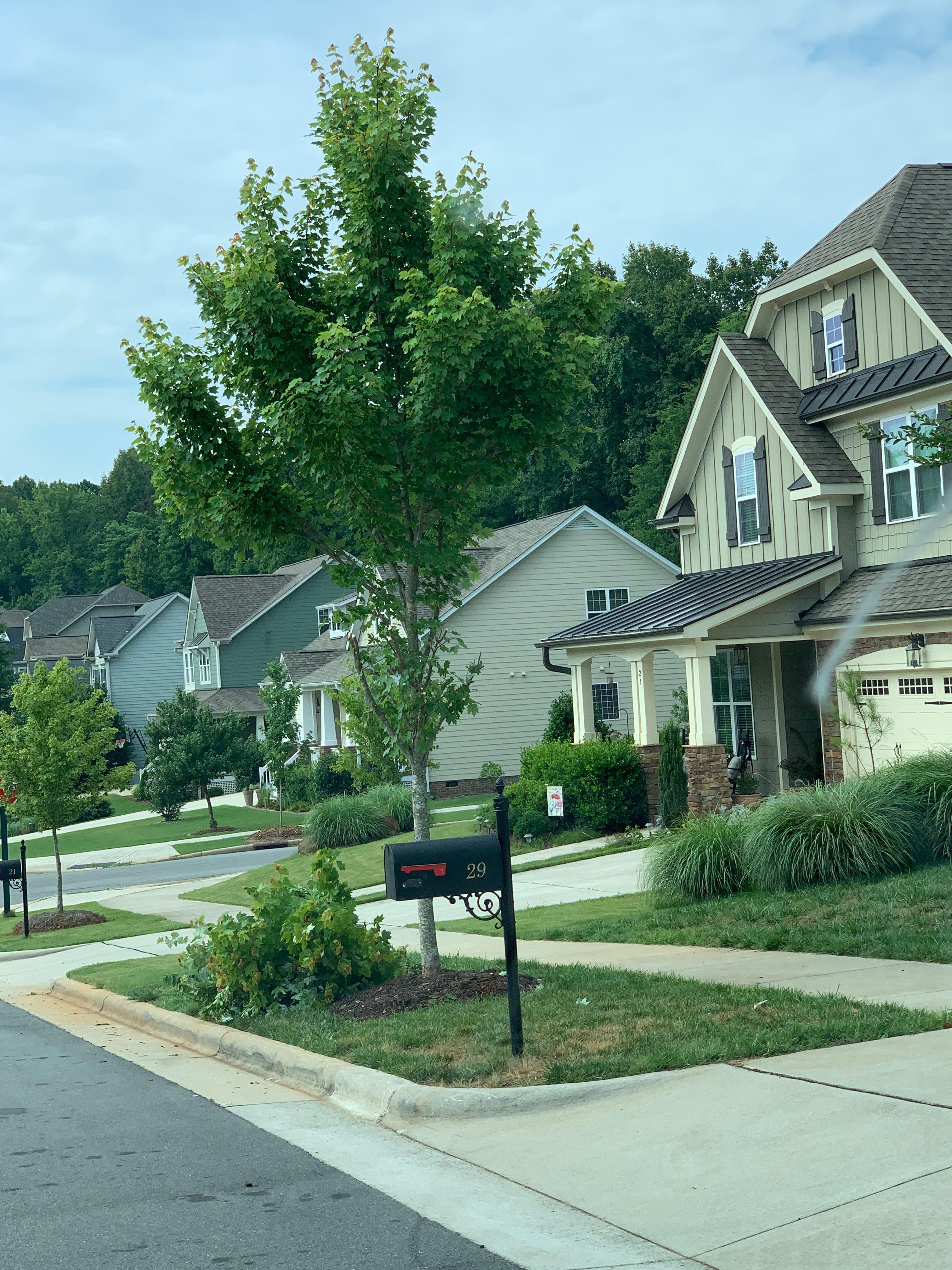 Pro Trim Job She’s a “landscaper” by trade. r/landscaping
