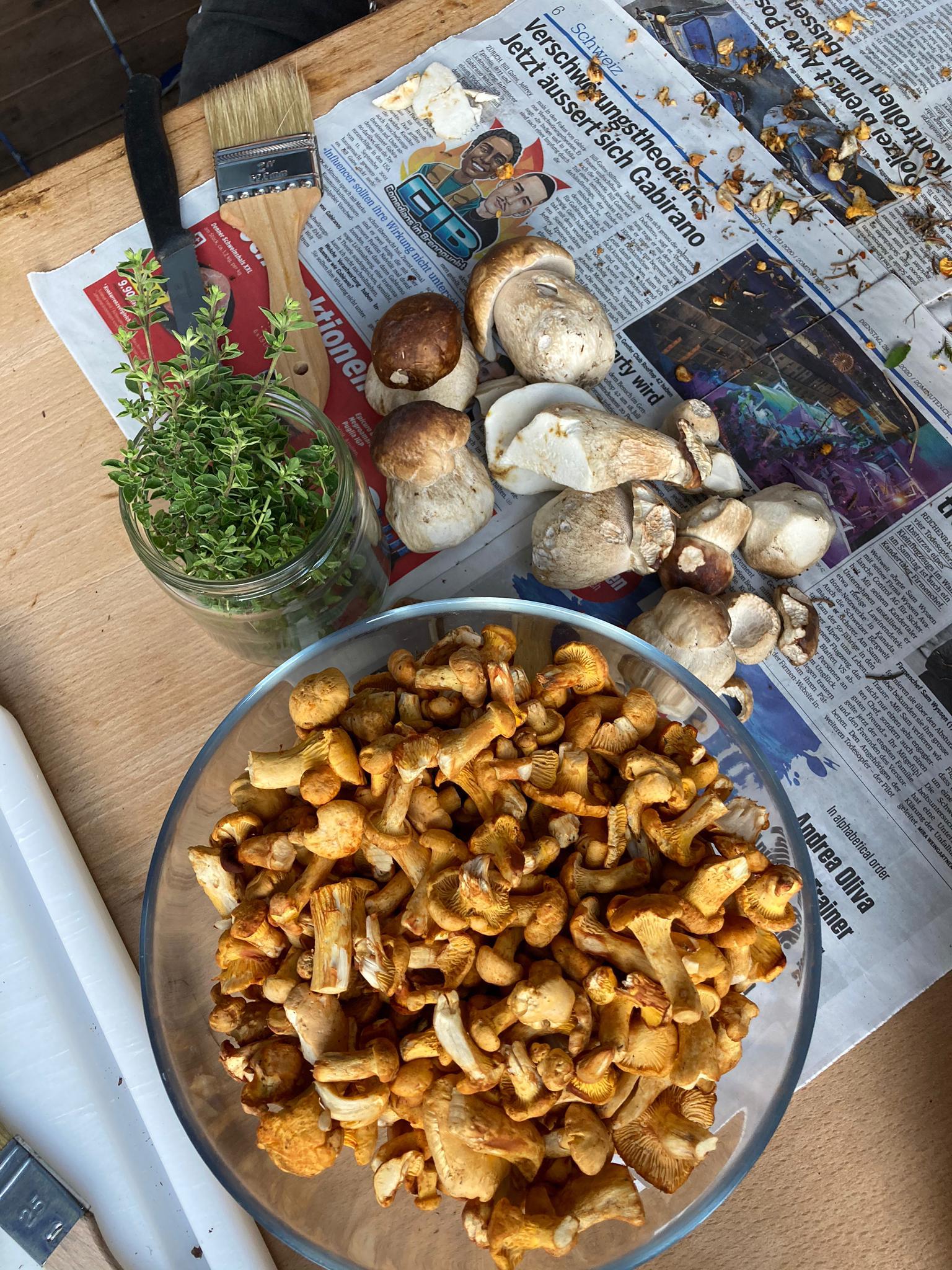 Chanterelles, porcini, and wild thym. Swiss alpine bliss r/foraging