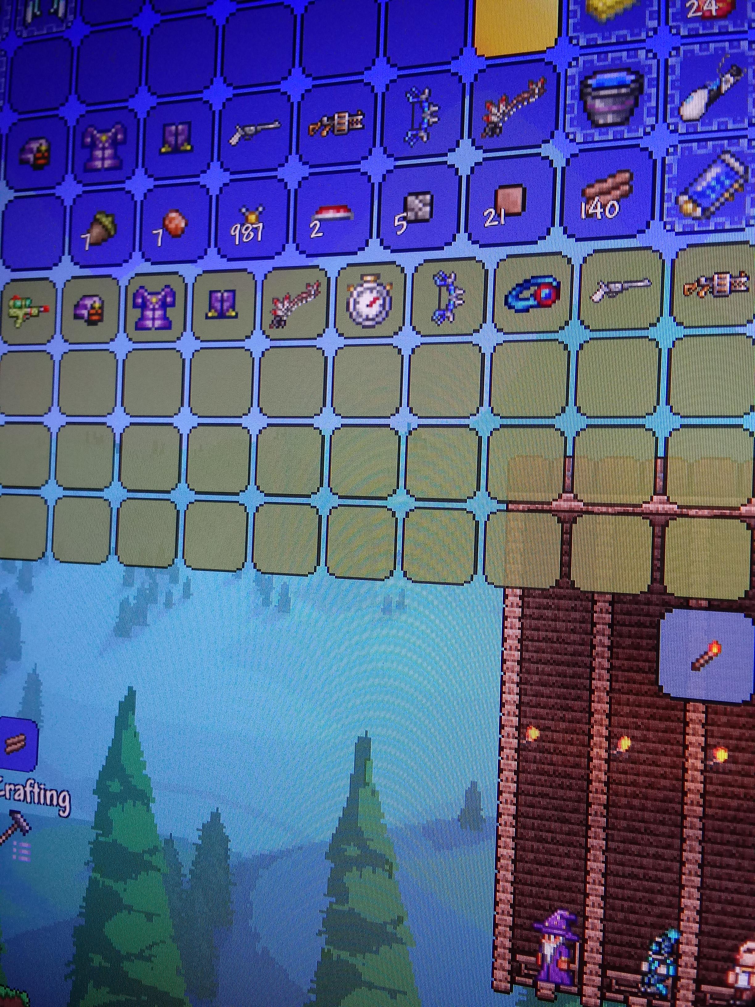 This traveling merchant r/Terraria