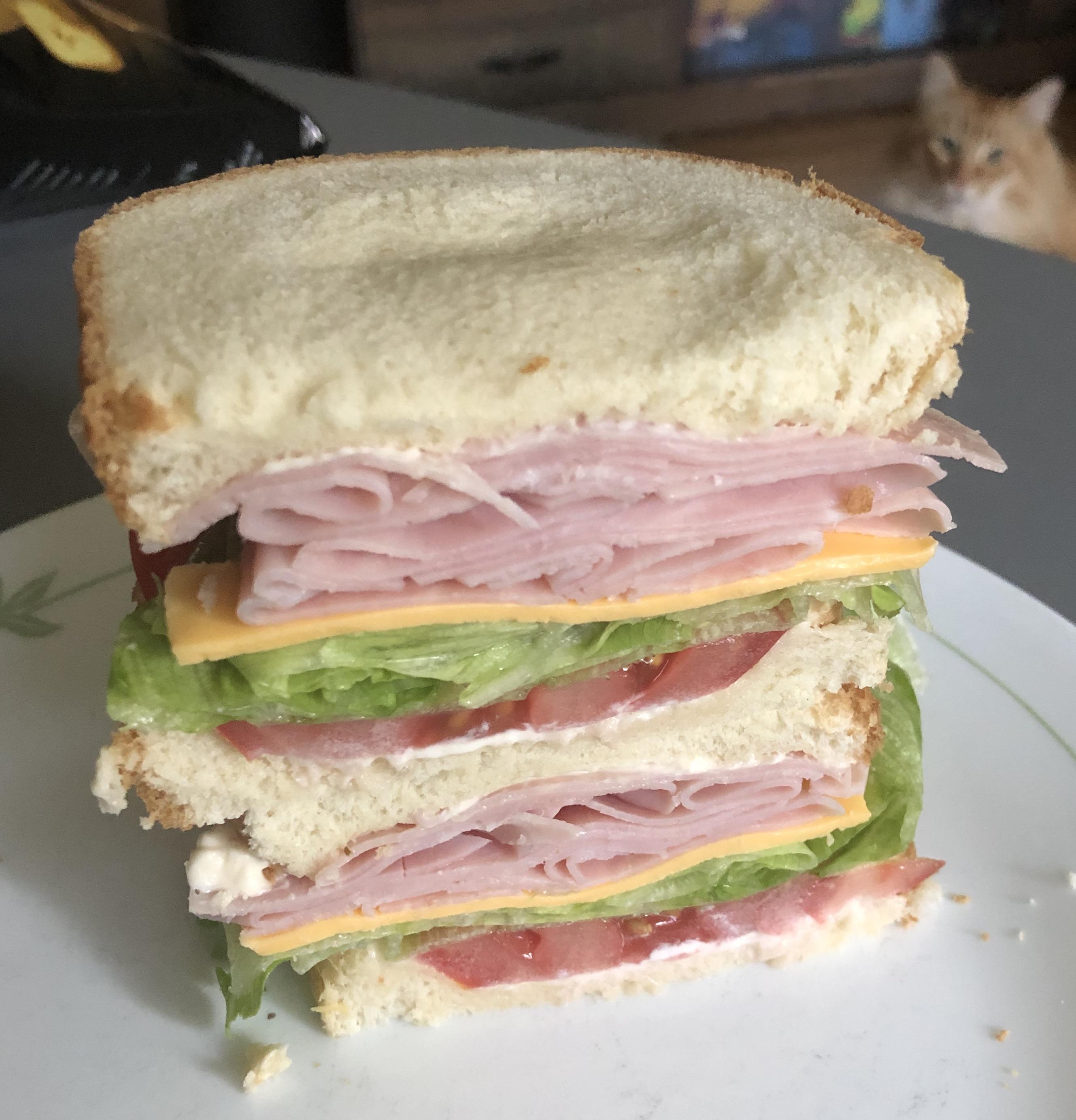 Simple Ham, American, Lettuce, Tomato & Mayo on White r/eatsandwiches