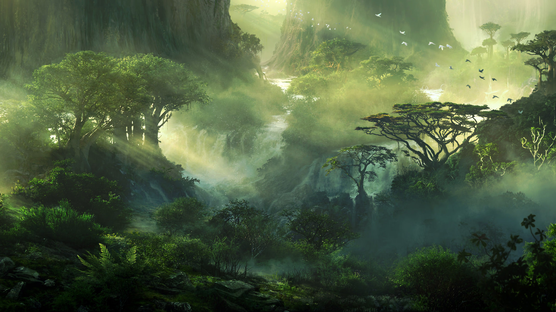 Jungle 1920 × 1080 wallpapers