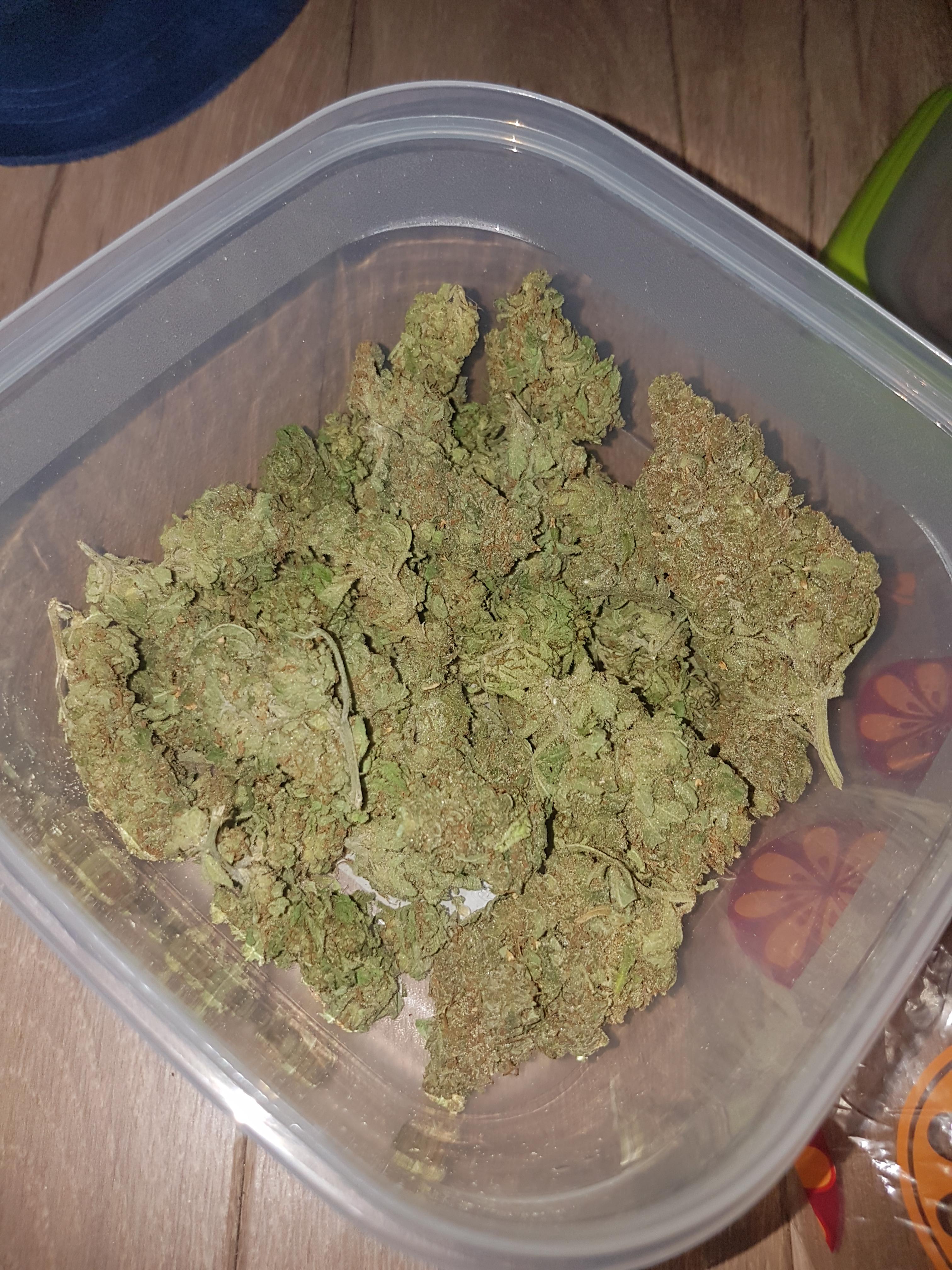 396 best Tangerine Dream images on Pholder Microgrowery, Rec Pics and