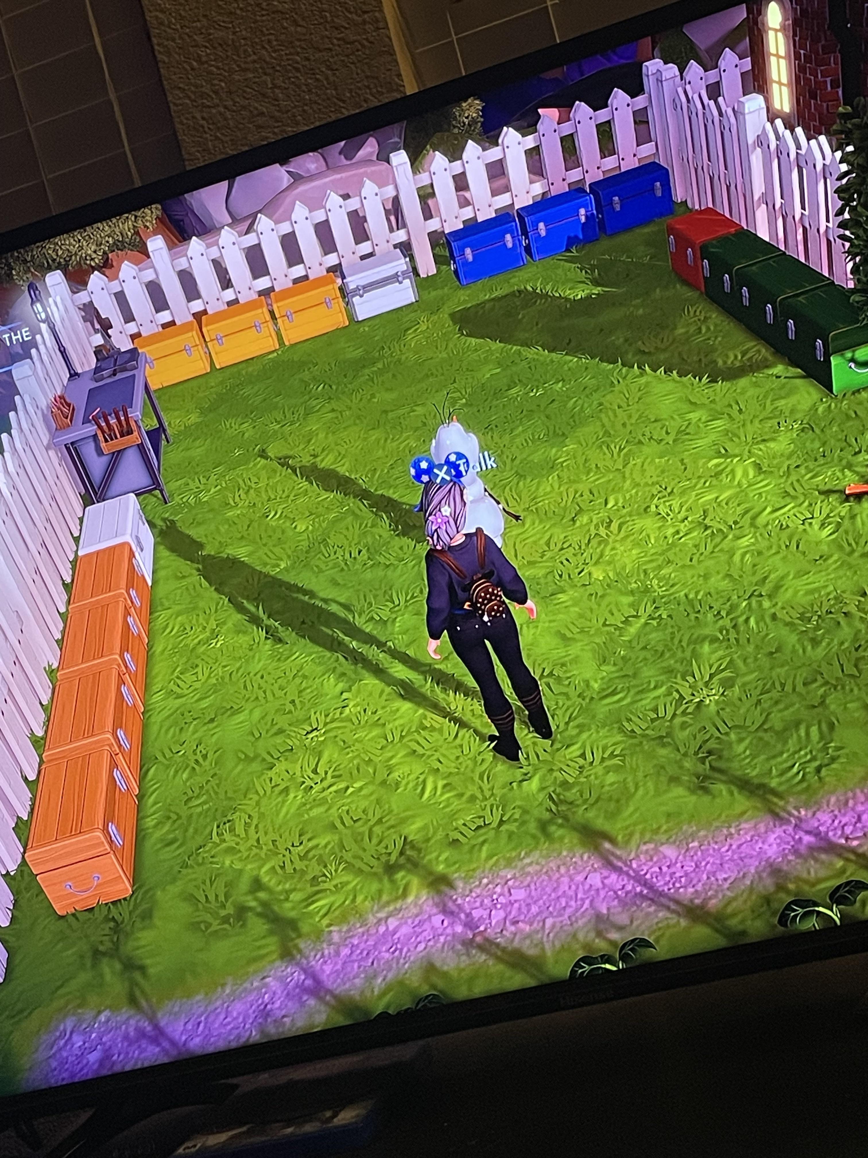 Advice about storage/chests r/DreamlightValley