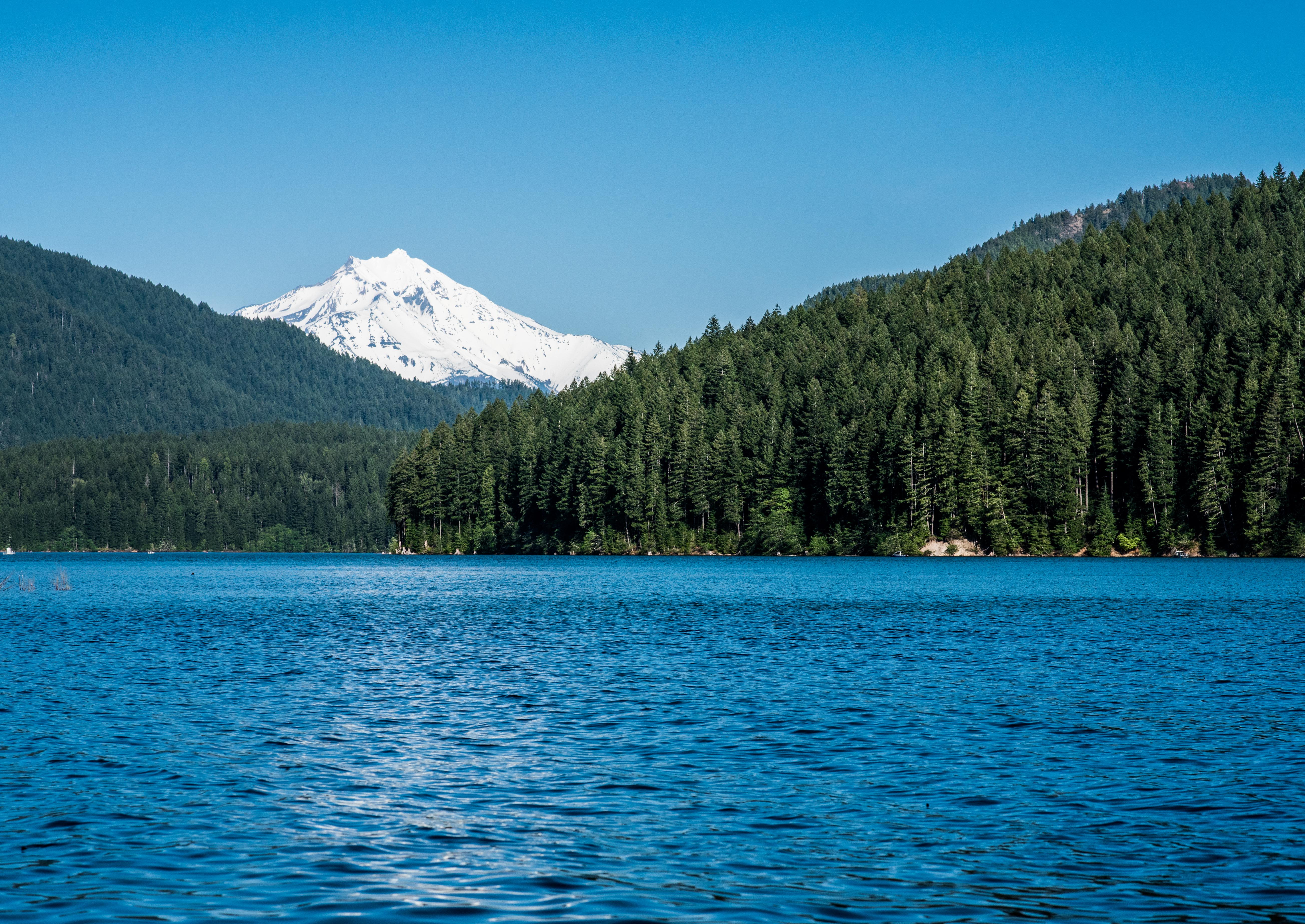 Mount Jefferson from Detroit Lake, Oregon, May 2019 [OC][5217x3696] r/EarthPorn