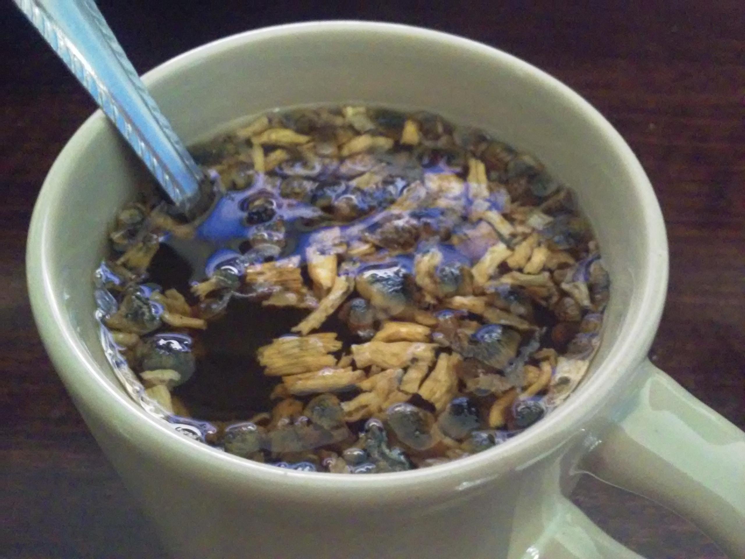 Modest Peppermint/Shroom tea (without grinding to a fine powder) r