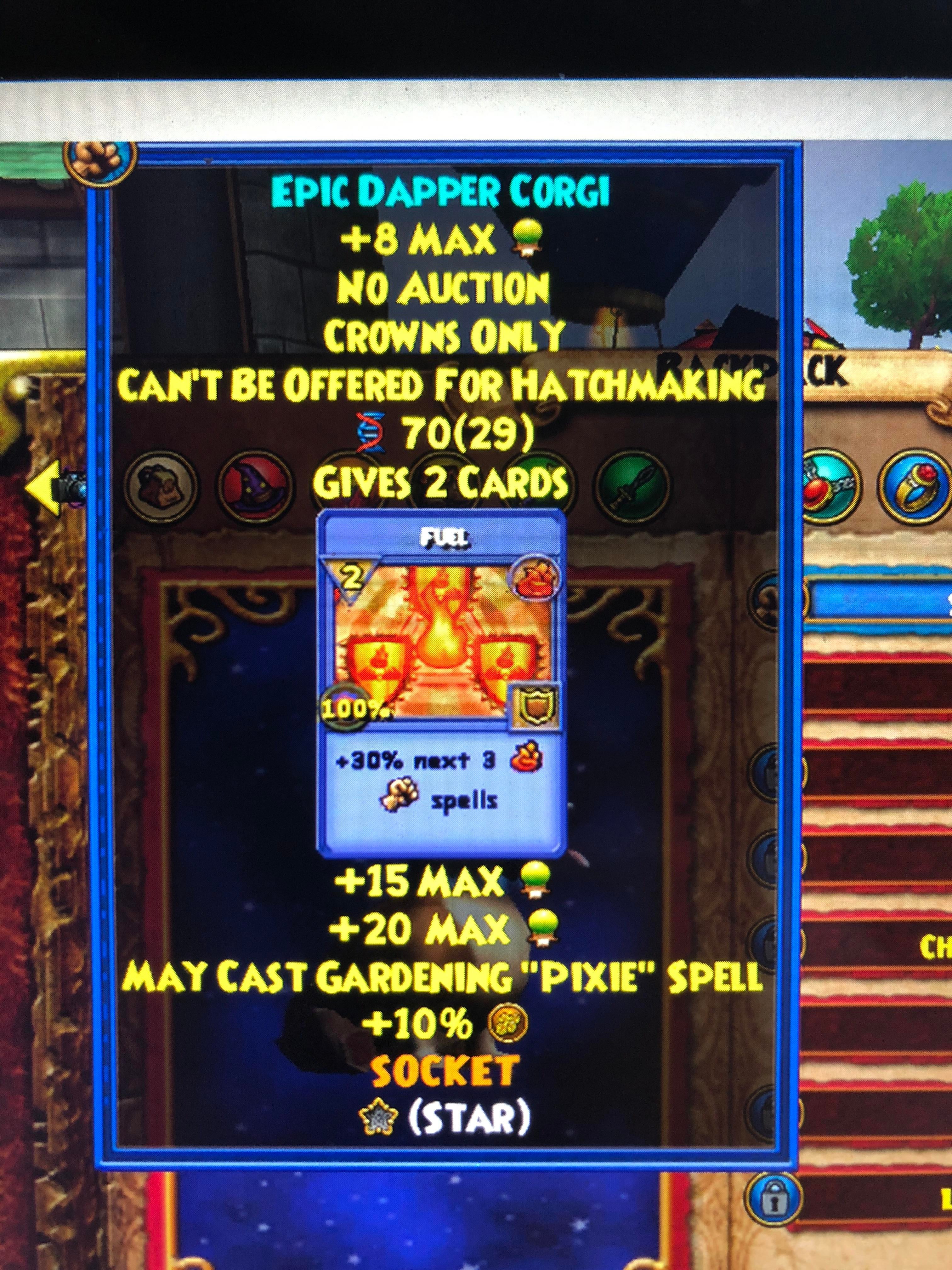 How would I get my hands on a pet with talents like this? r/Wizard101