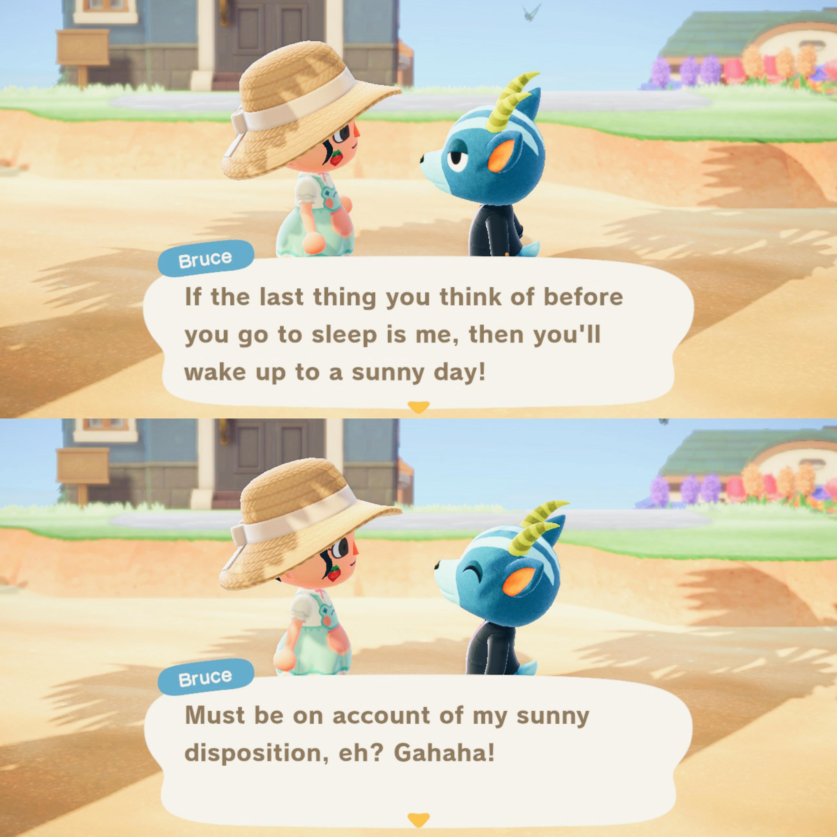 Got Bruce on a random mystery island, now he's my favorite villager. I