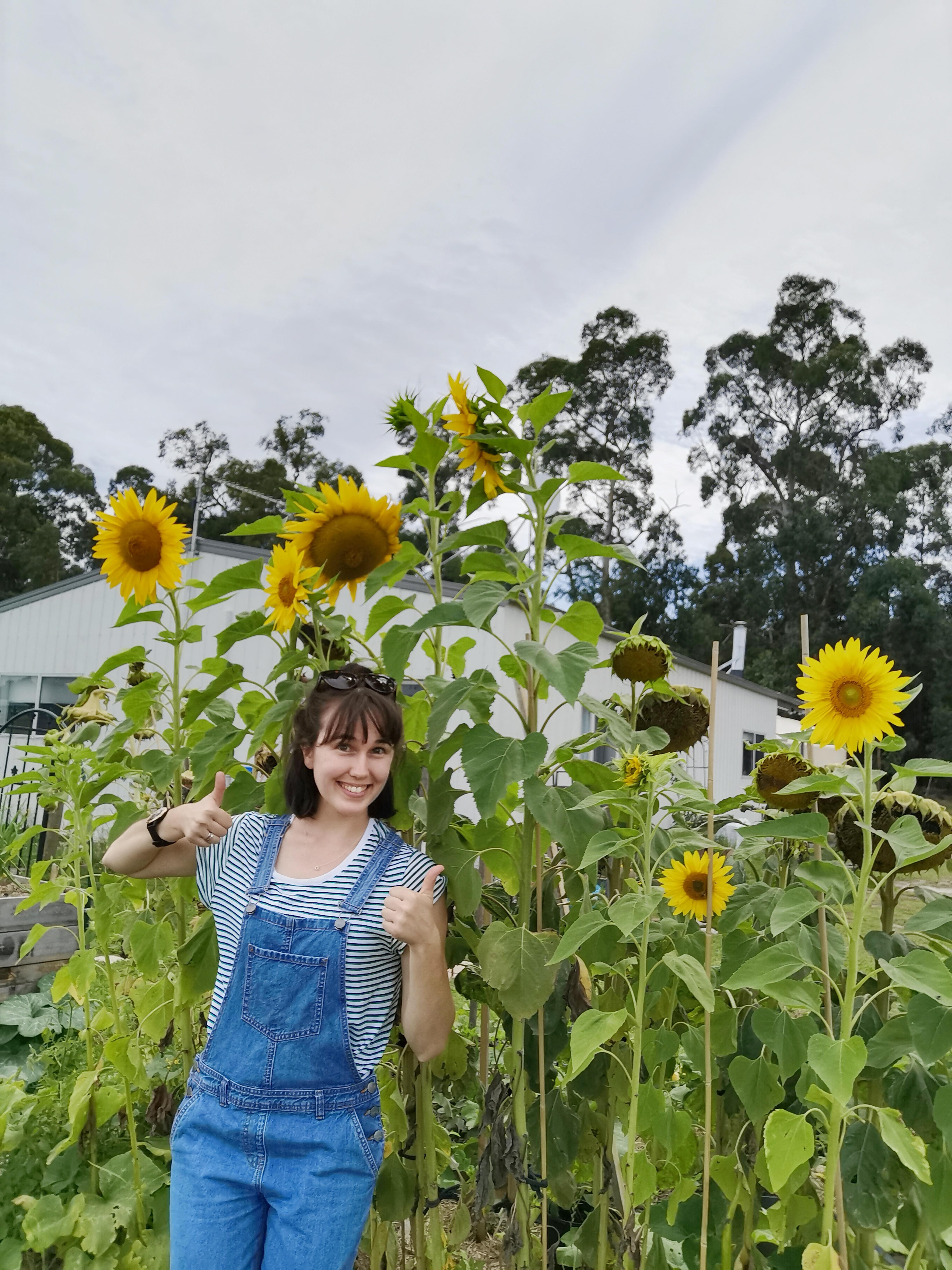 I grew some tall sunflowers and I'm really proud of myself for keeping