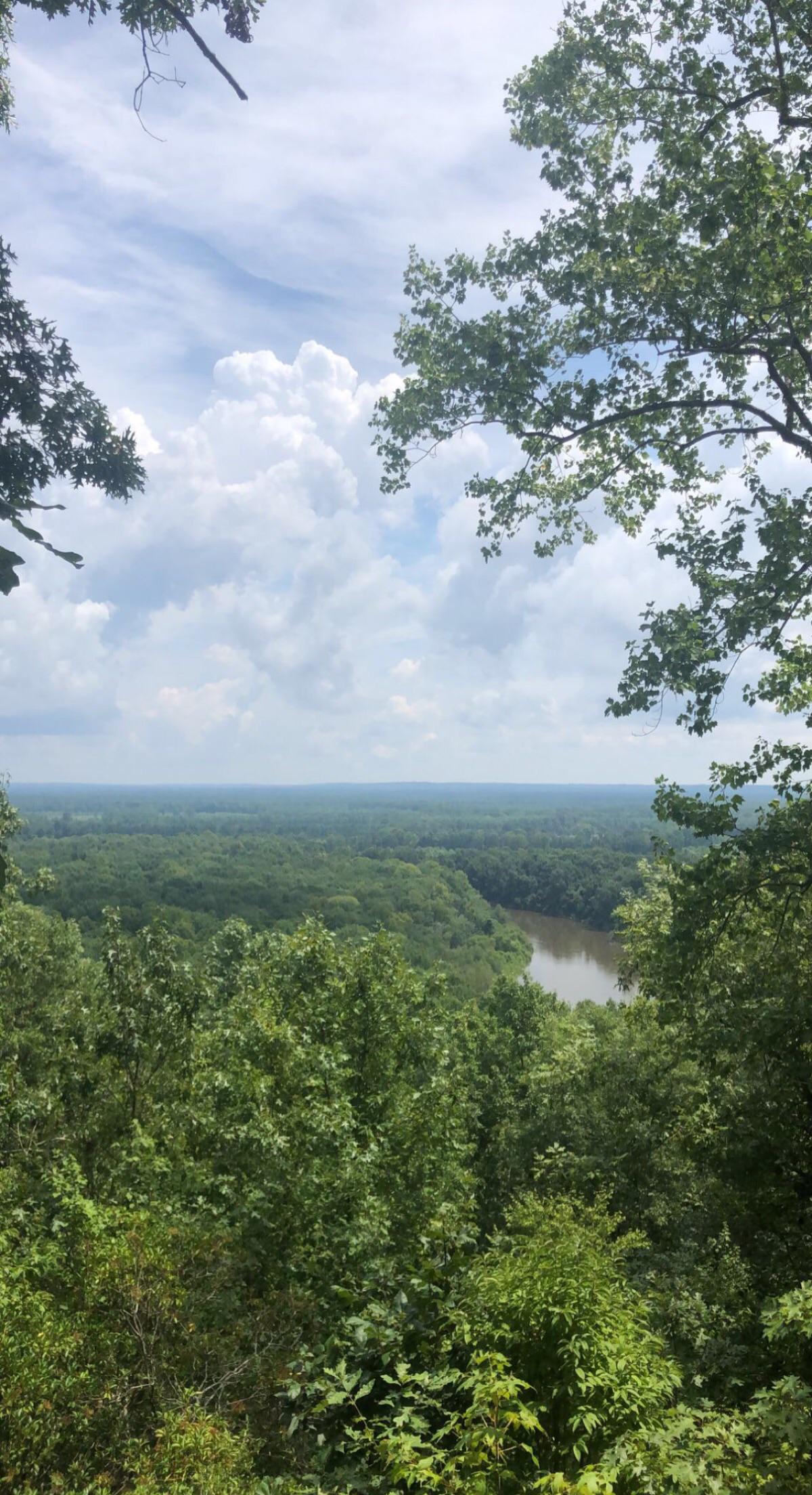 Overlooking the Wateree River in July Eastover, SC r/southcarolina