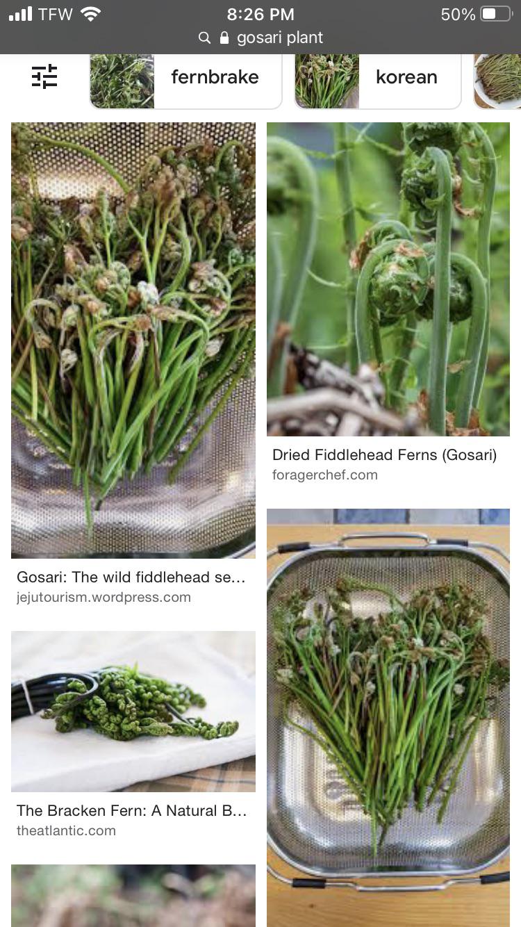 ‘Gosari’ is a Korean vegetable that I’ve been told grows wild at a park