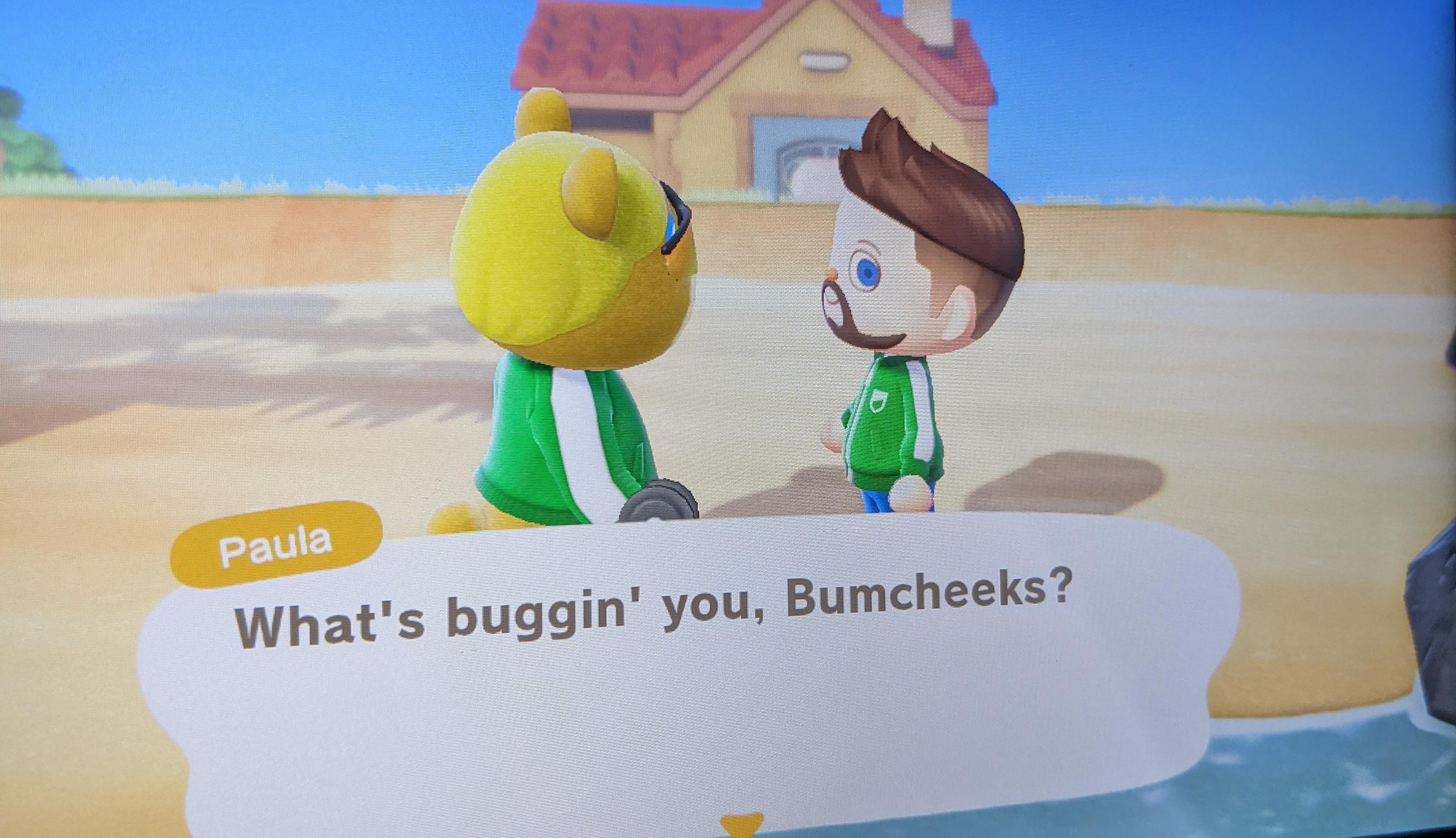 Animal Crossing character let me pick my nickname moving forward. Bad
