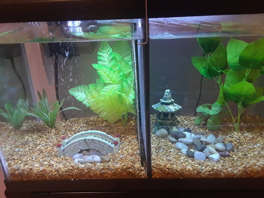 I heard that the one dollar per gallon sale at Petco ended today, so I