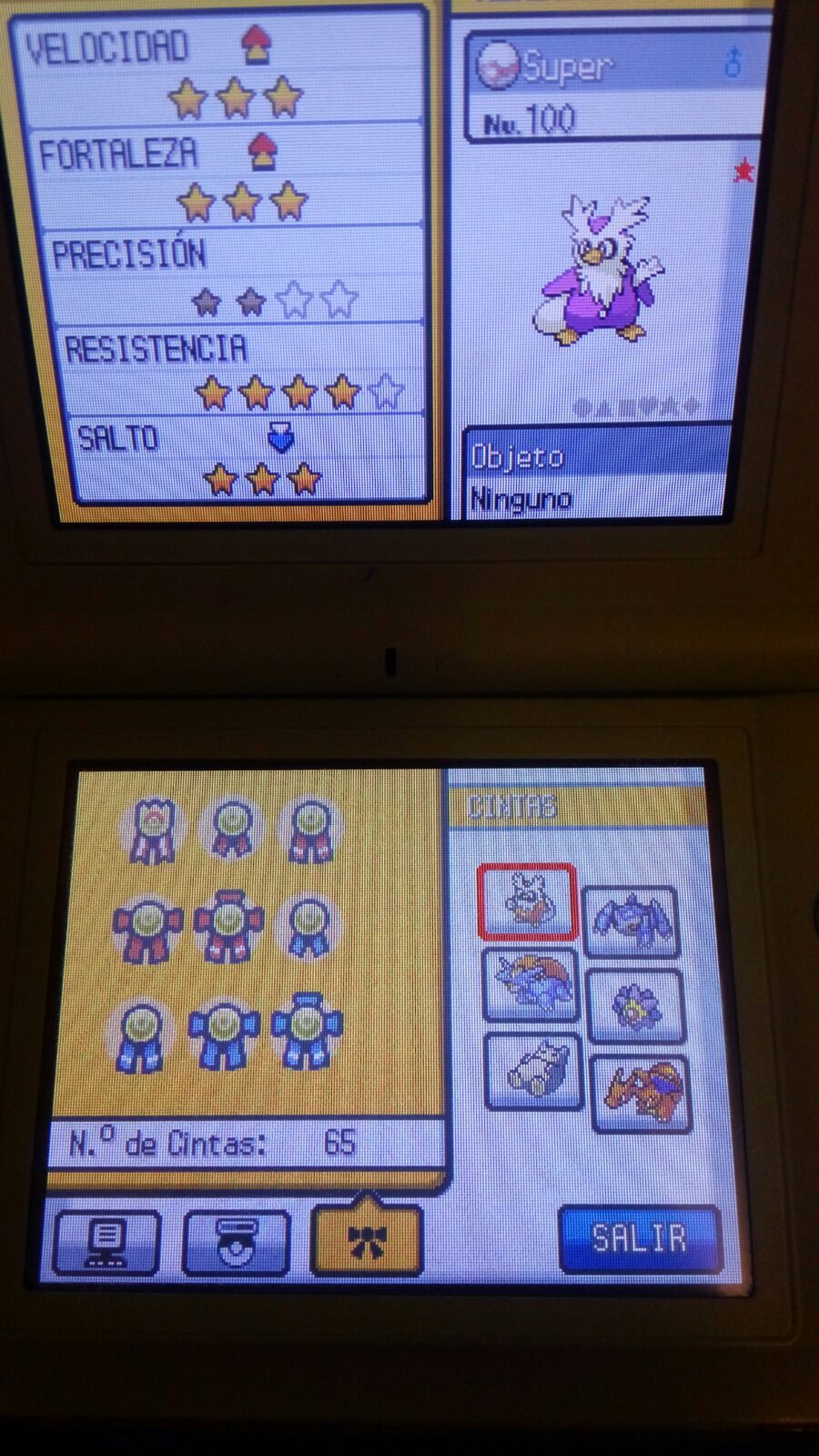 [Jutopa's Shiny Ribbon Quest] Super the Delibird's complete gen 4