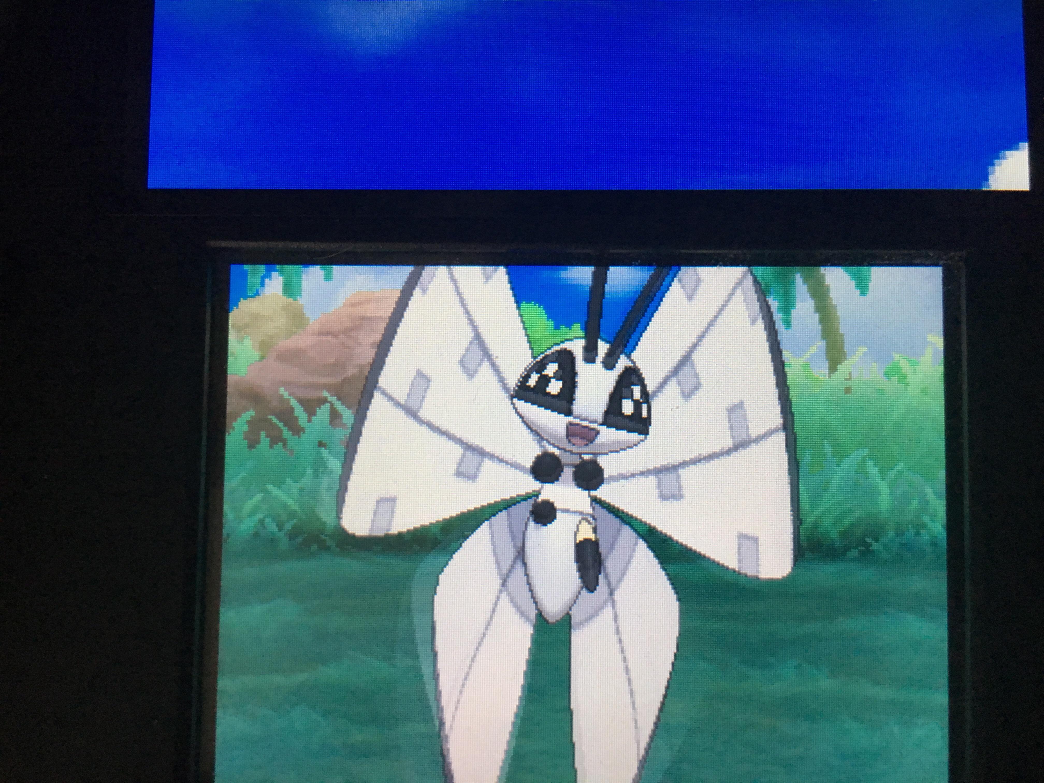 My Shiny Icy Snow Pattern Vivillon is Beautiful r/PokeMoonSun