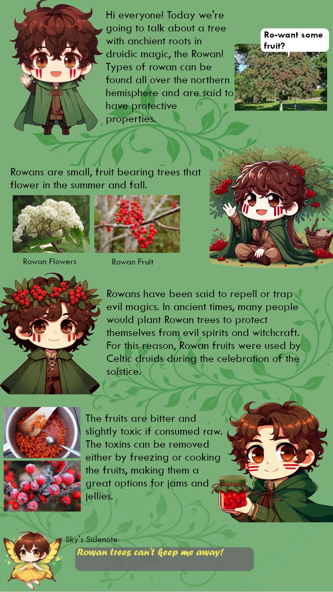 Druidcraft with Duncan (Rowan trees, do you Rowant to know more?) r