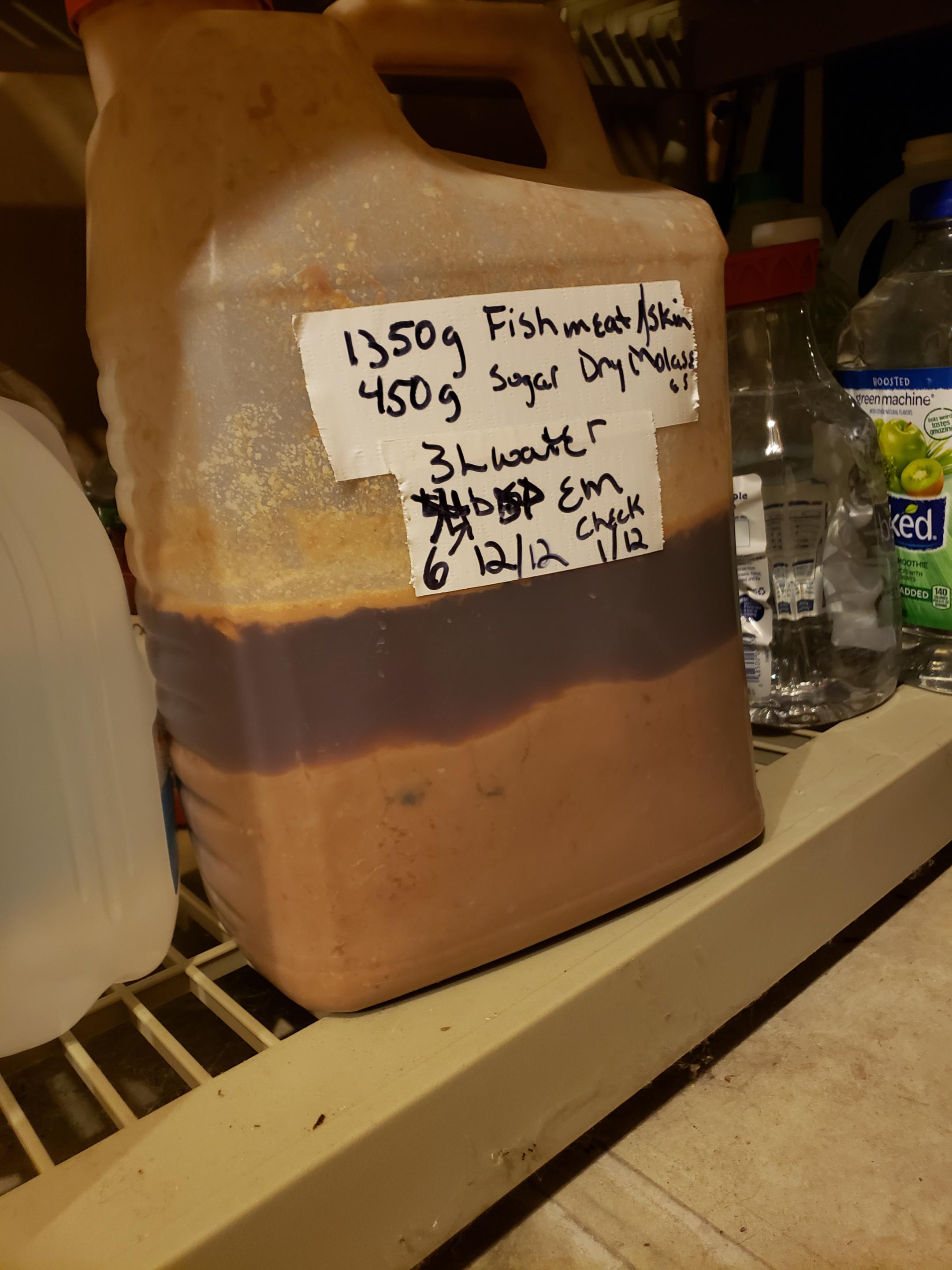 Fish Emulsion. Does this look right? 1350g fish meat and skin, 450g dry