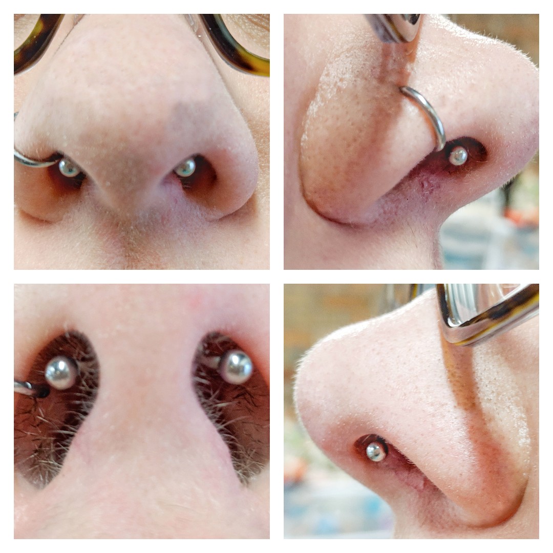 How To Hide A Septum Piercing / How To Hide A Septum Piercing Quora