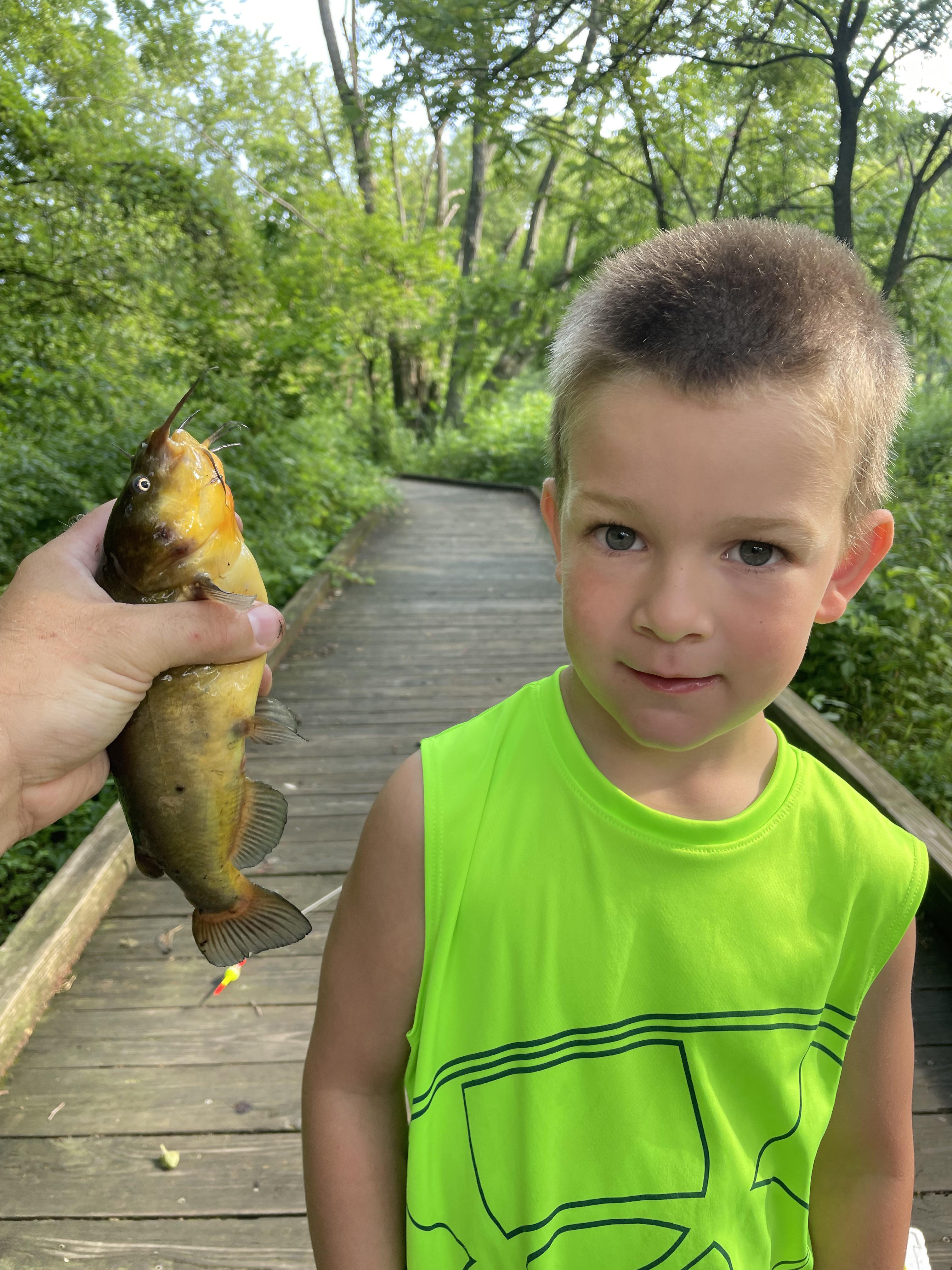 Got a bullhead in the creek. Never caught a catfish in such shallow