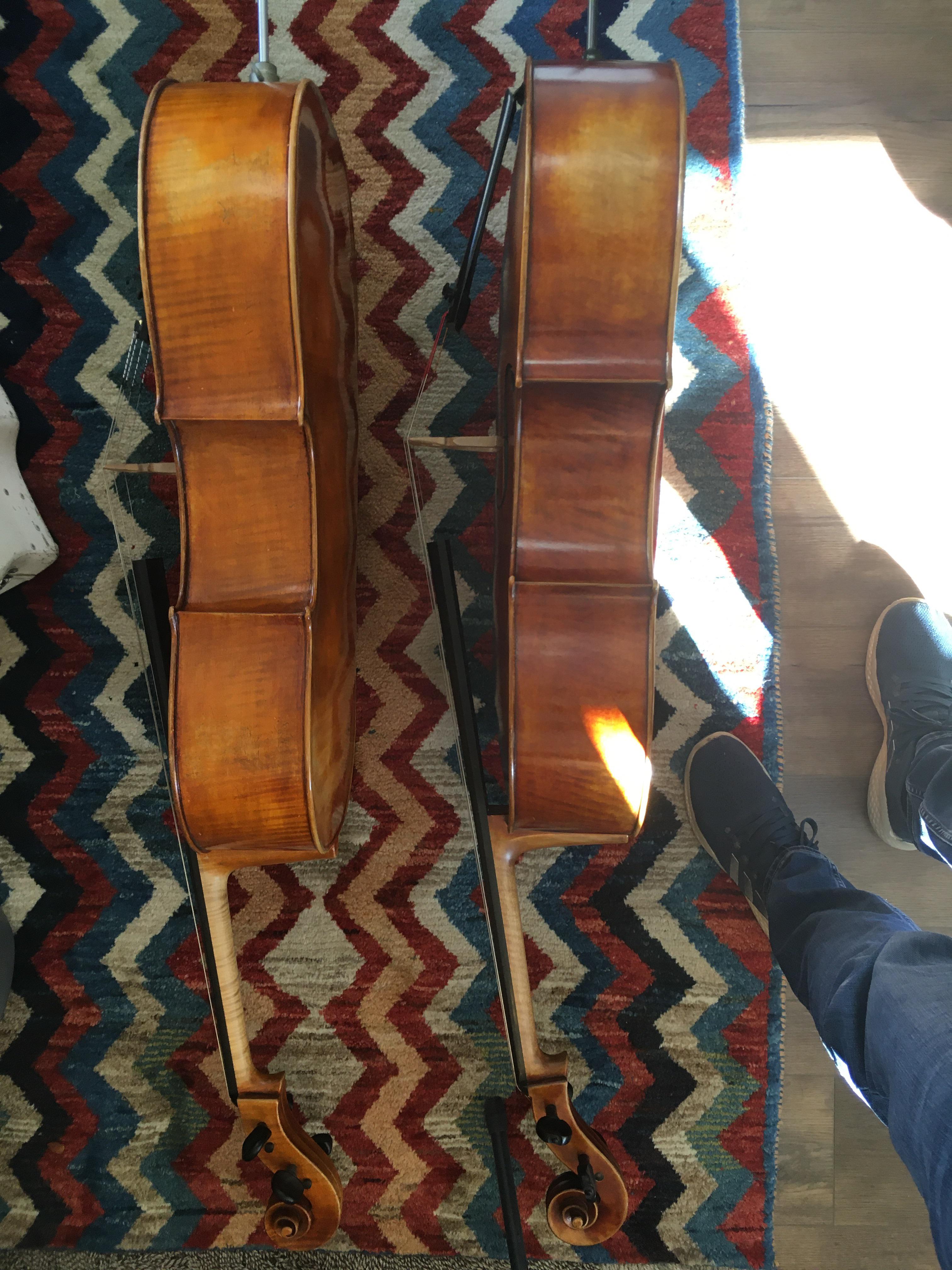 Cello shopping r/pics