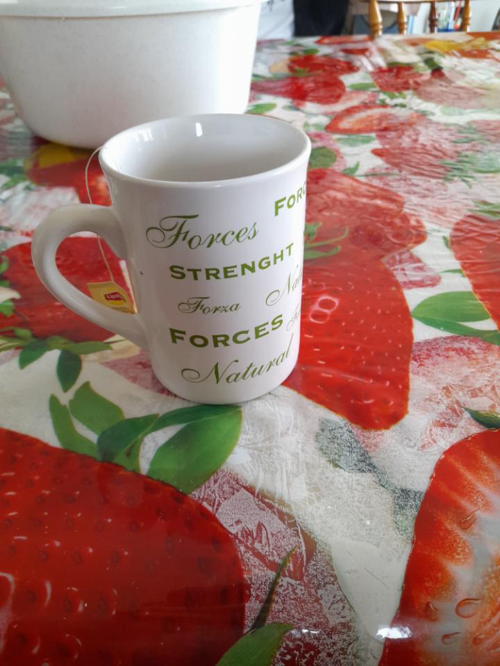 French teacup engrish
