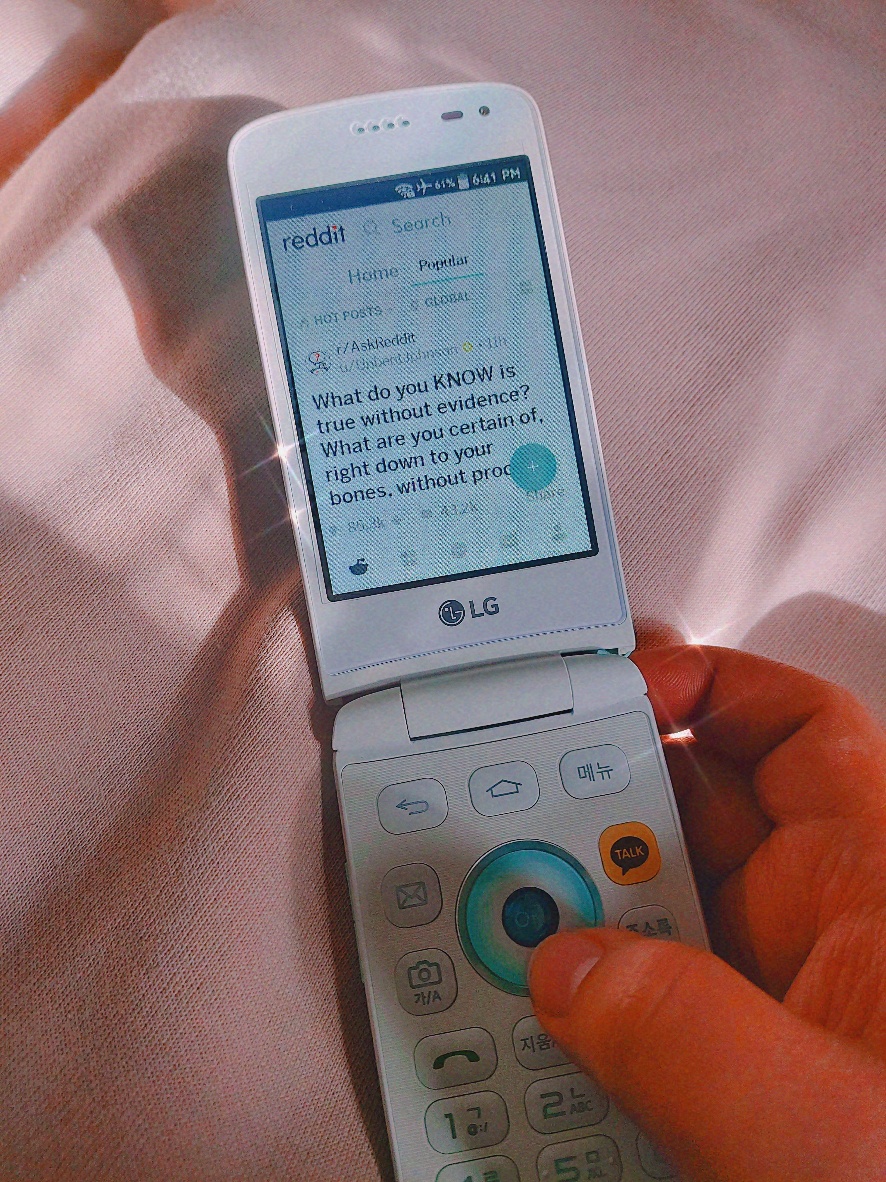 I was also able to get on reddit on my flip phone r/vintagemobilephones