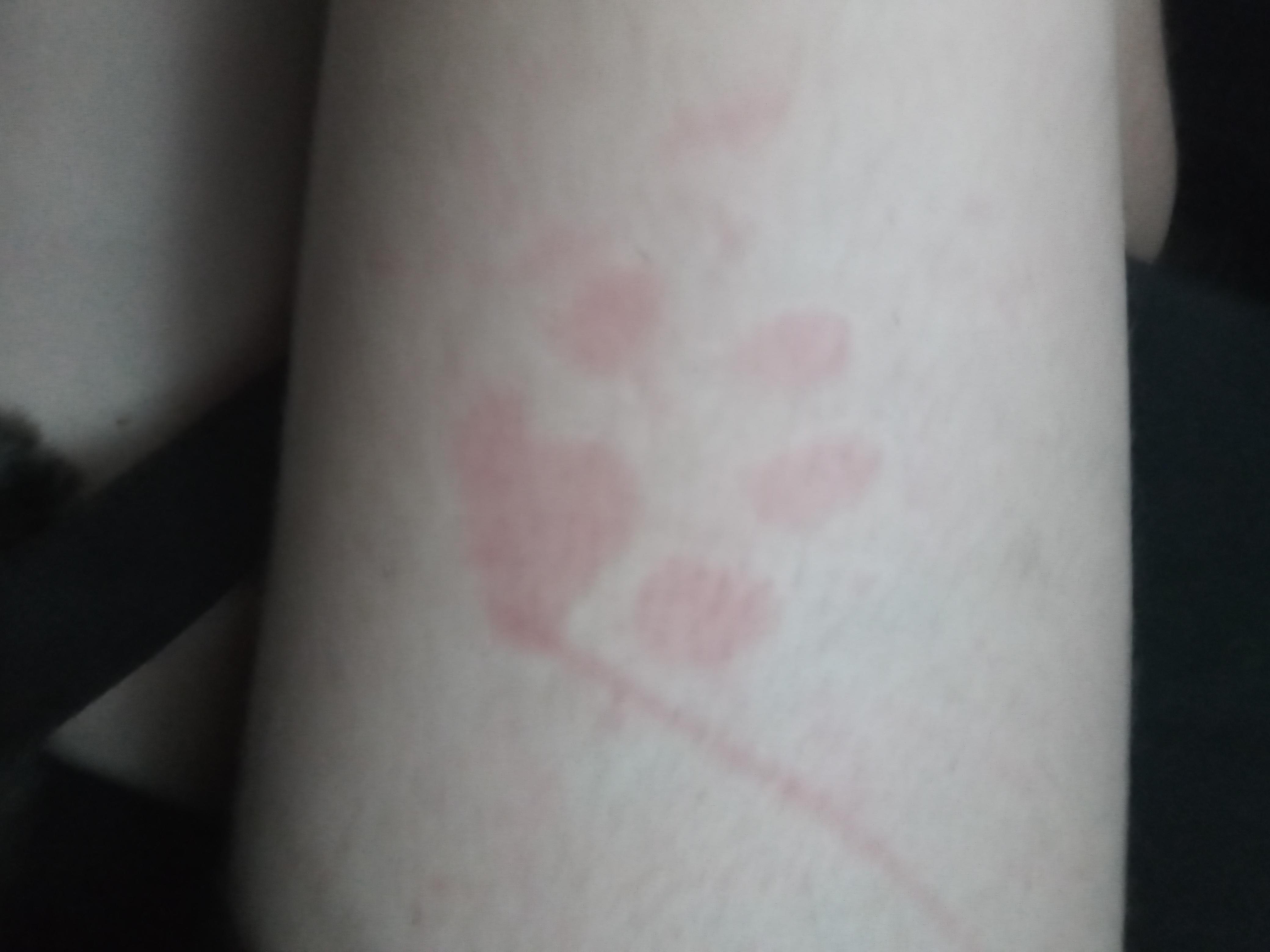 My dog hates cars r/NatureBeingFunny