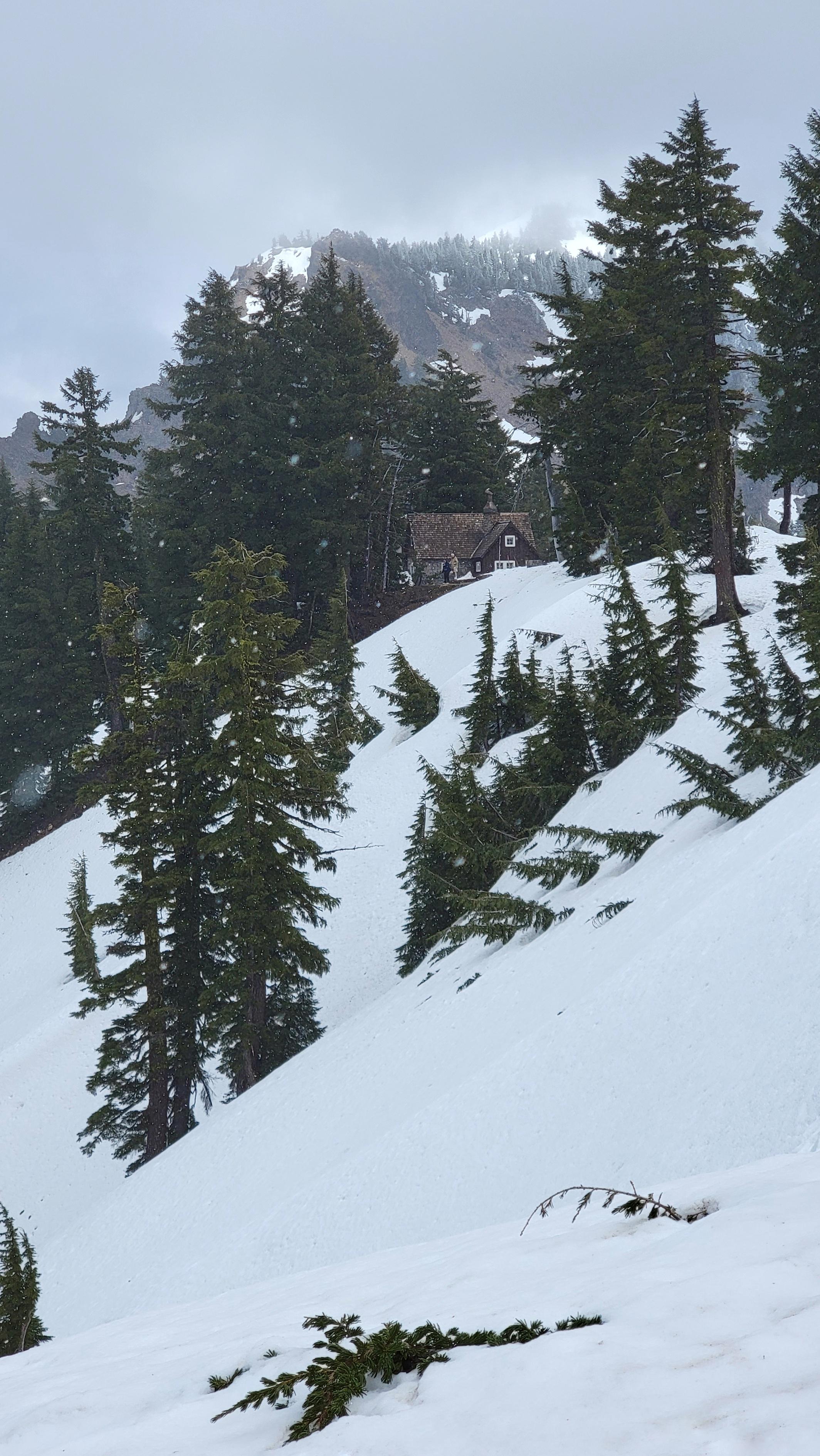 Quiet Snowfall at Crater Lake National Park [OC] r/pics