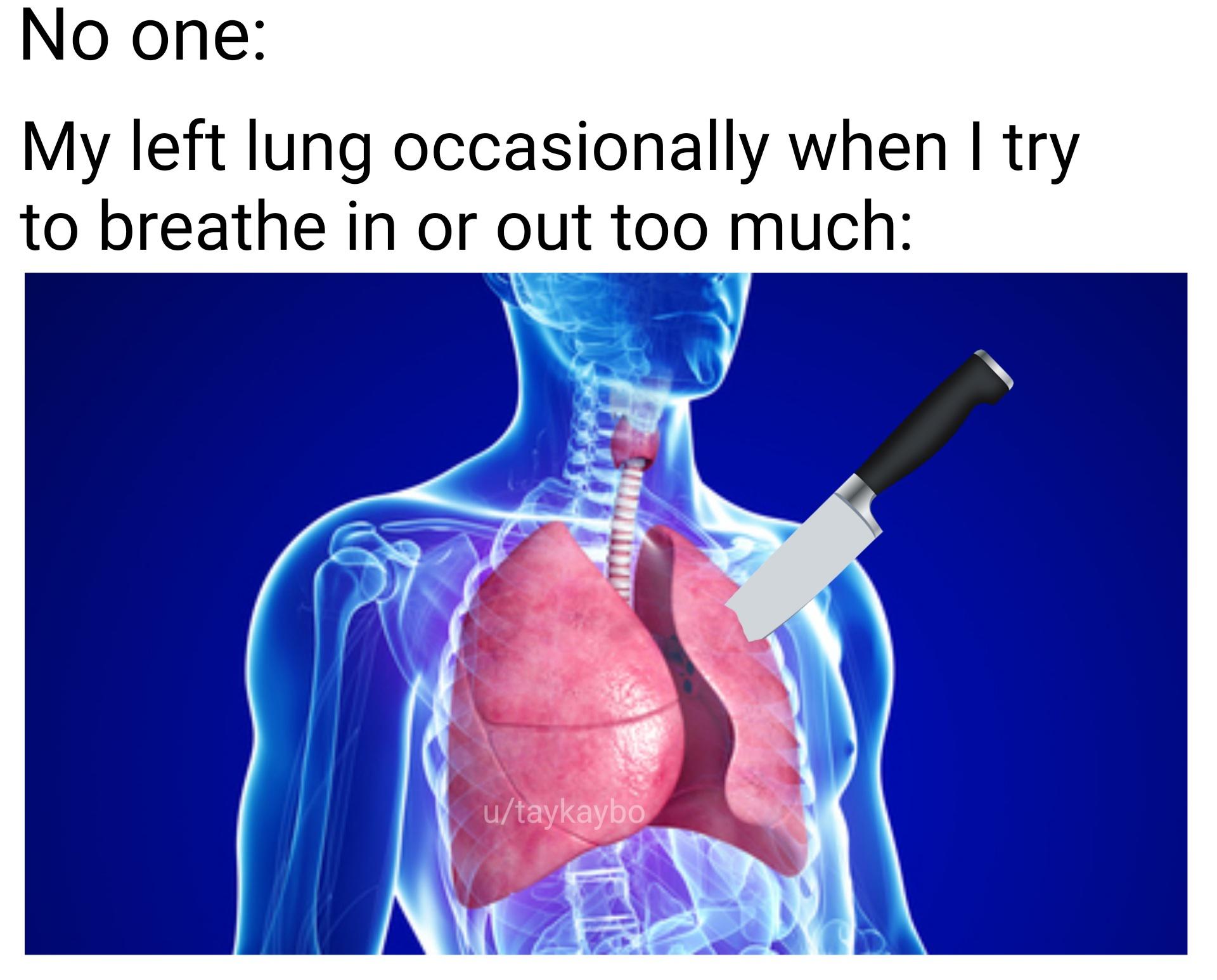 Why you gotta be this way, lung? r/dankmemes