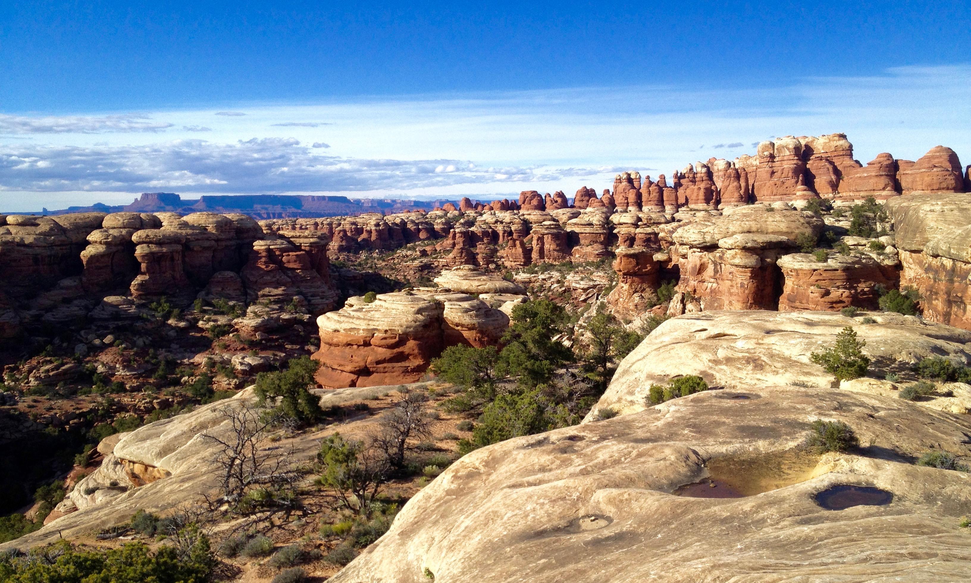 The backcountry of Canyonlands National Park r/CampingandHiking