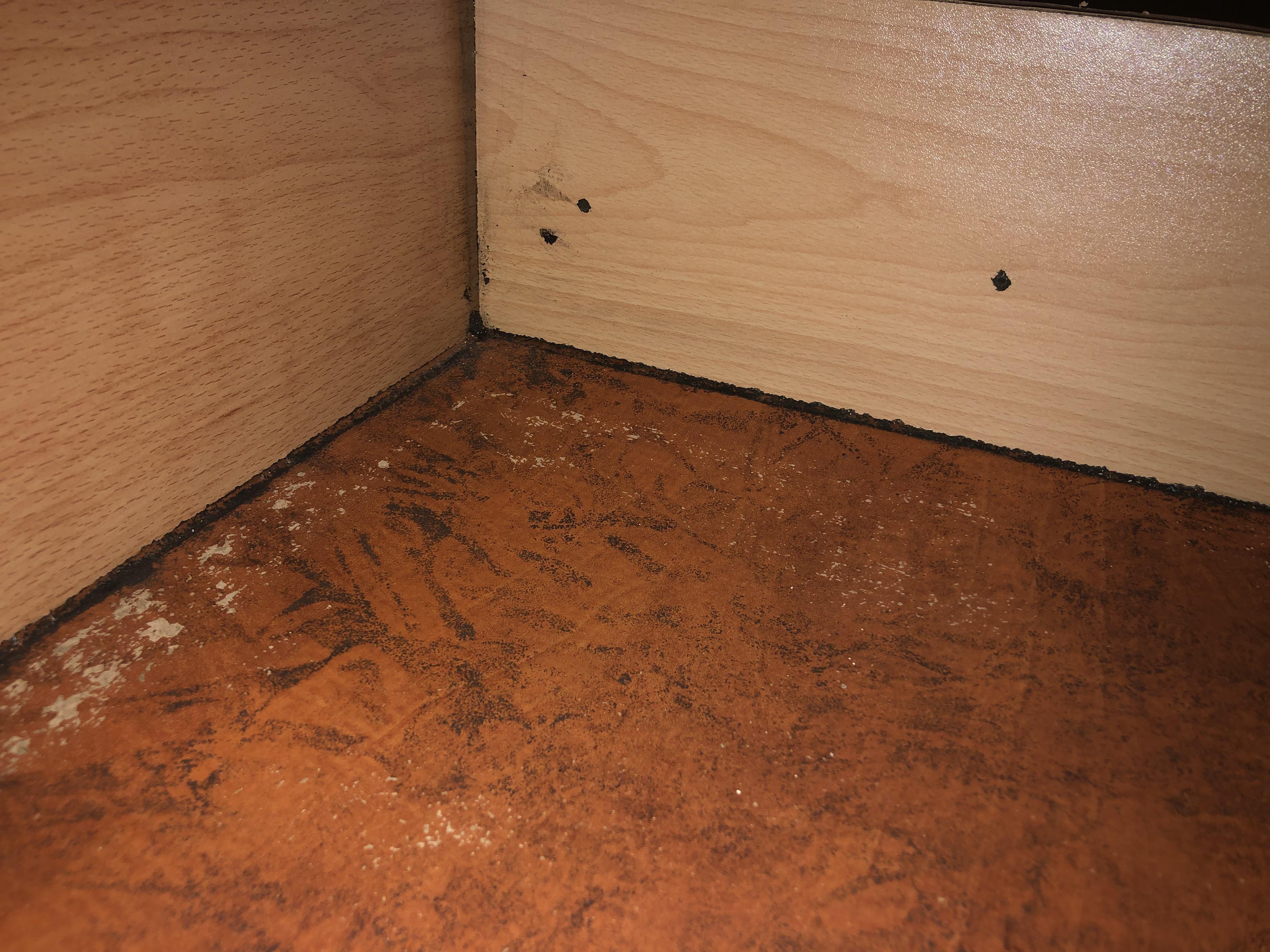So… this happened to one of my mom’s drawers. How do we clean it? (It’s mold) r/CleaningTips