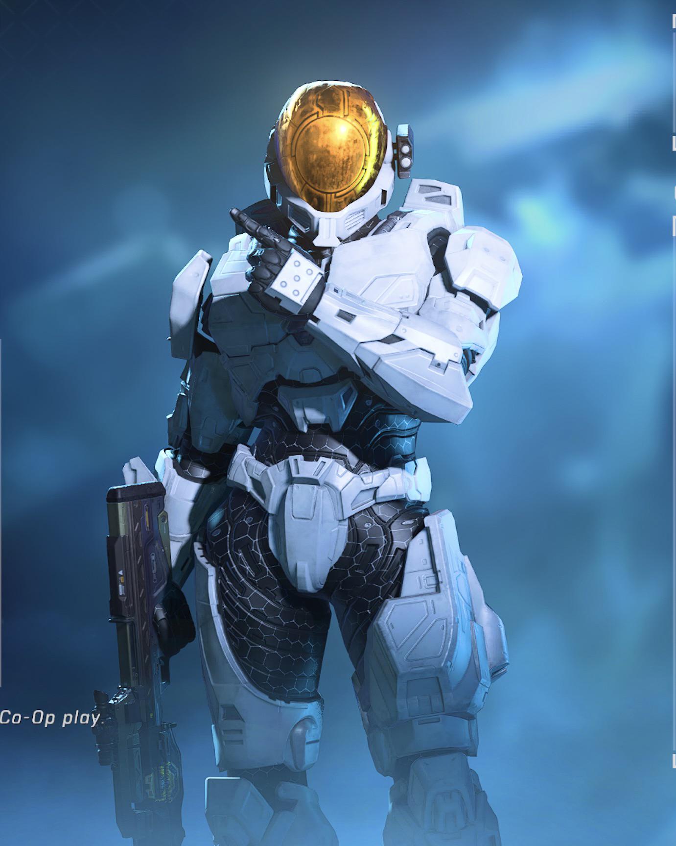 Olly olly oxen free r/halodripfinite