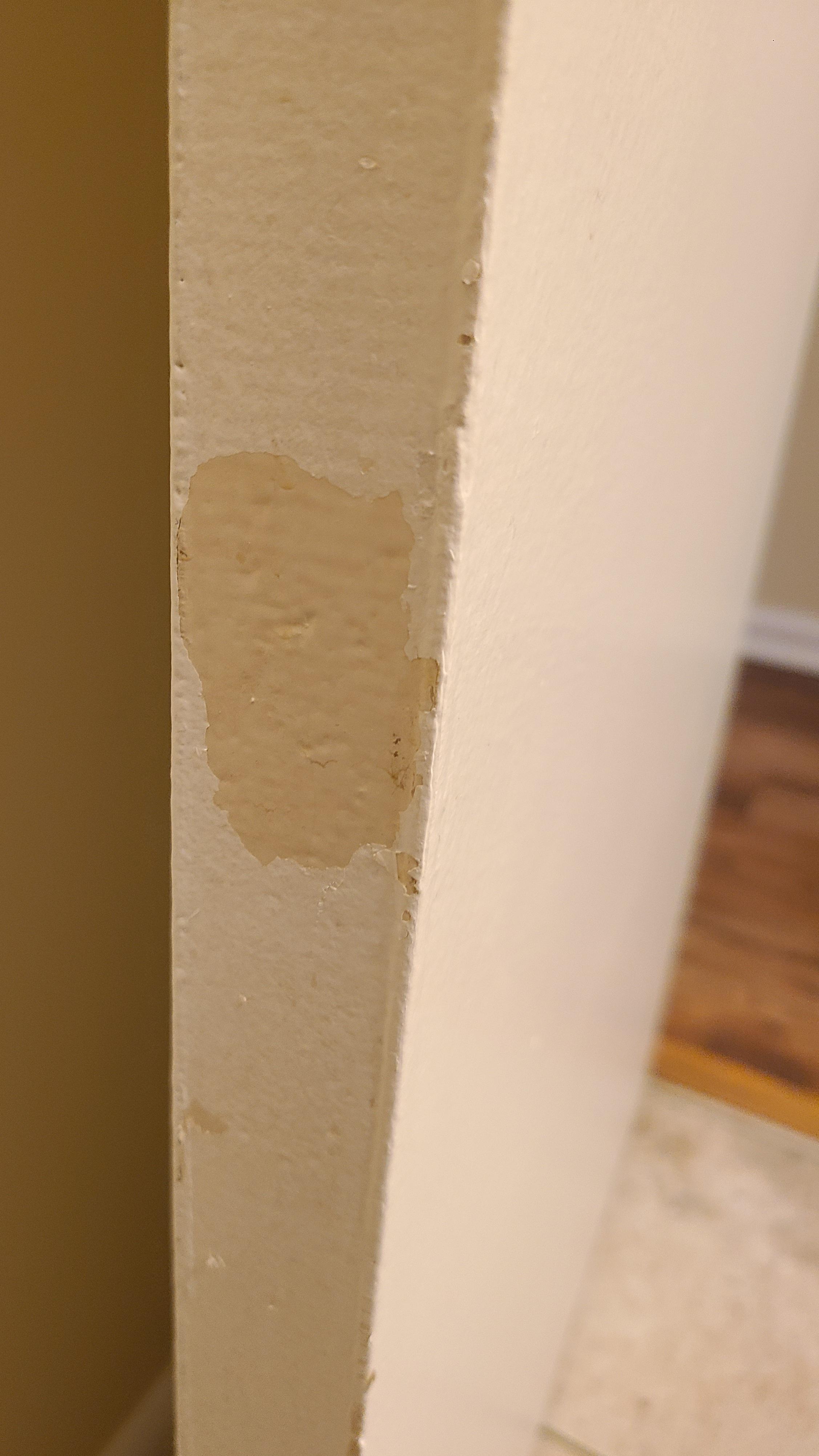 When your newly painted door starts to peel the next day. r/Wellthatsucks