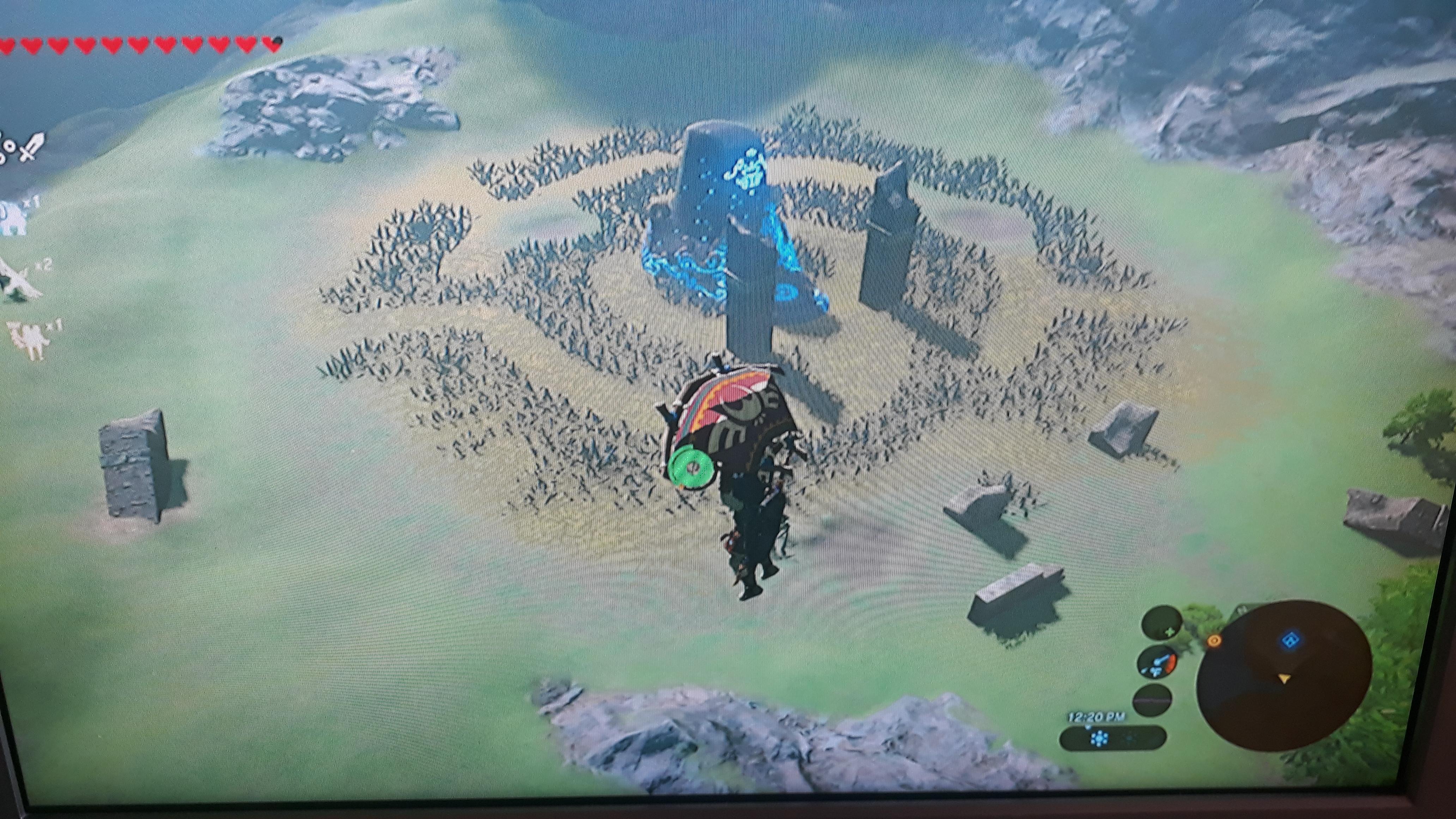 This reminds me of that flower maze shrine... But this simply isn't as