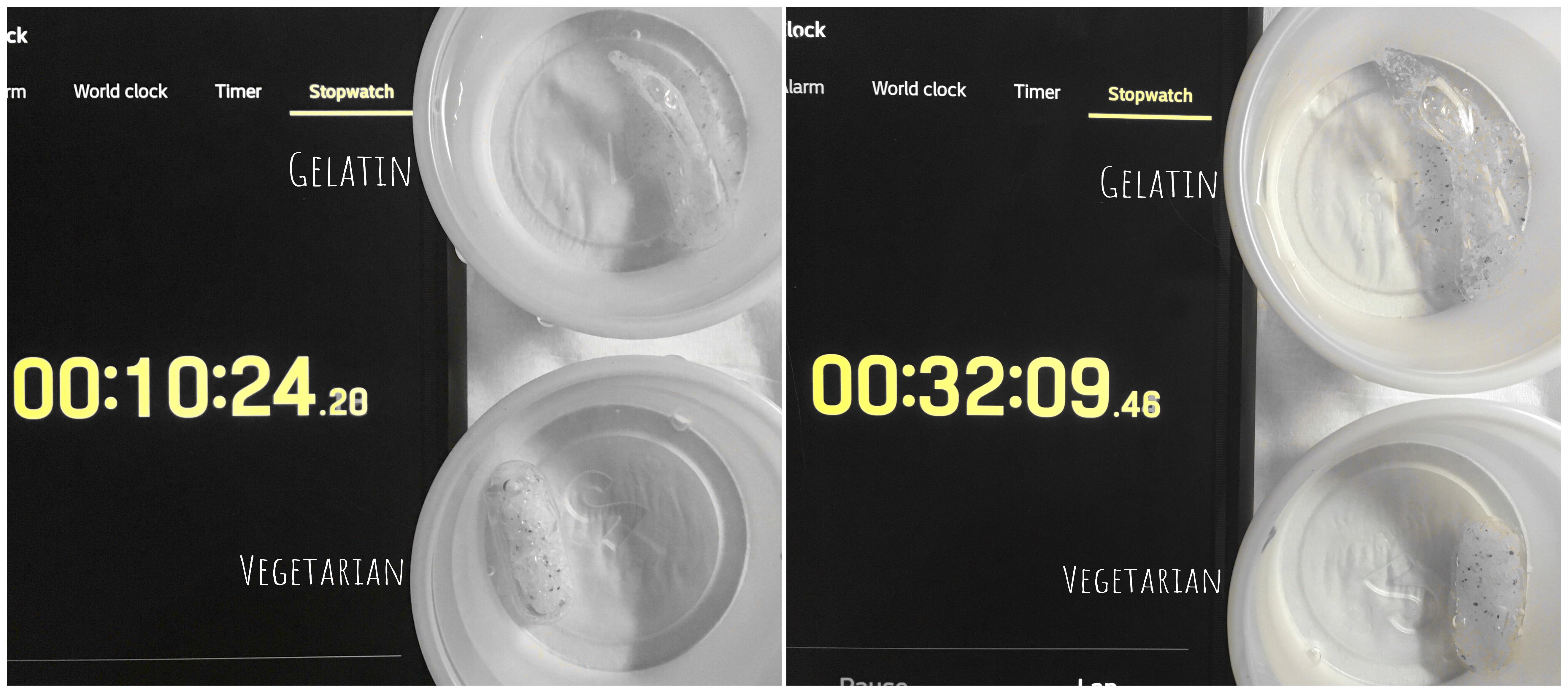 Gelatin vs Vegetarian r/kratom