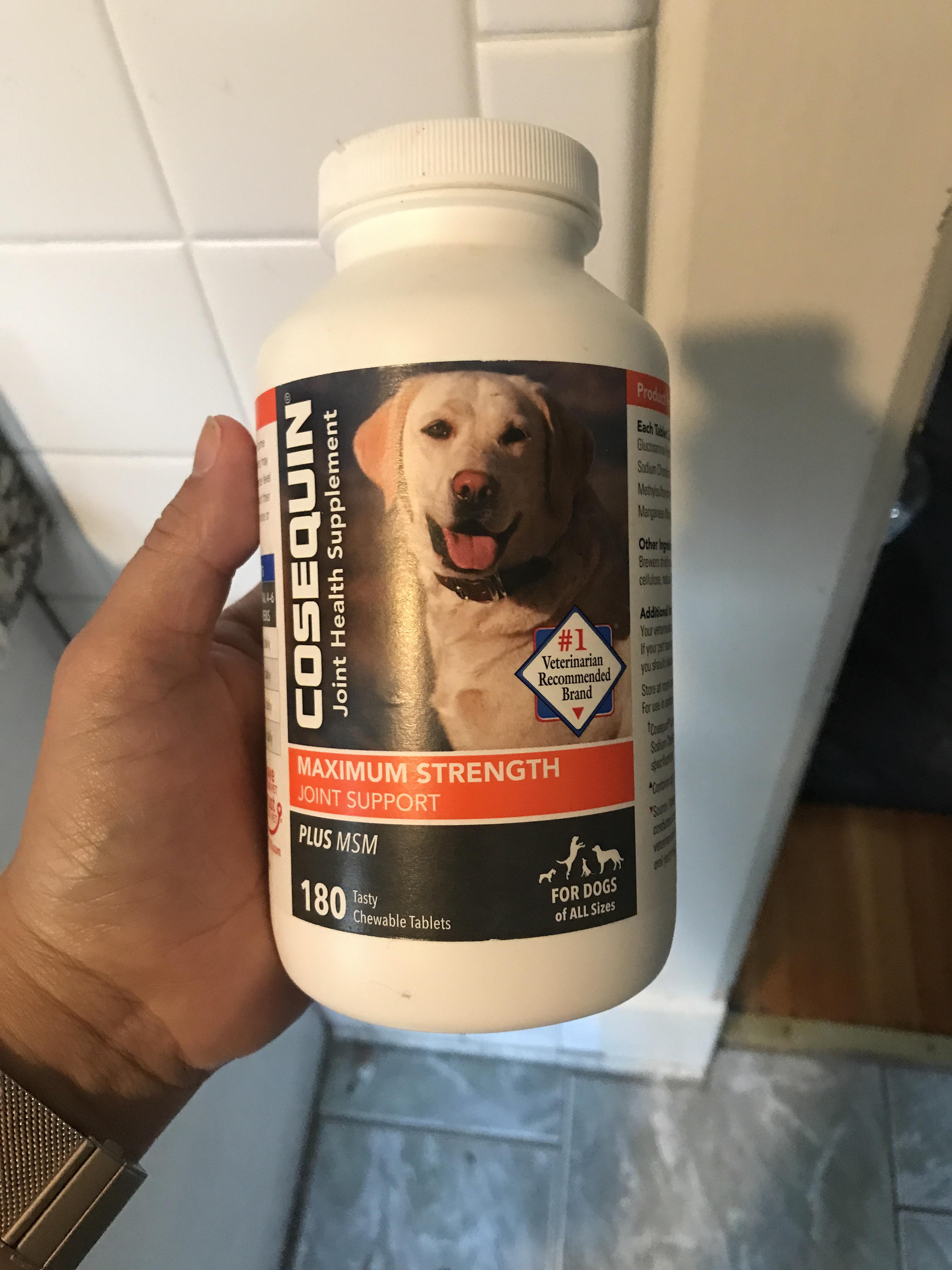Does Magnesium Help Dogs