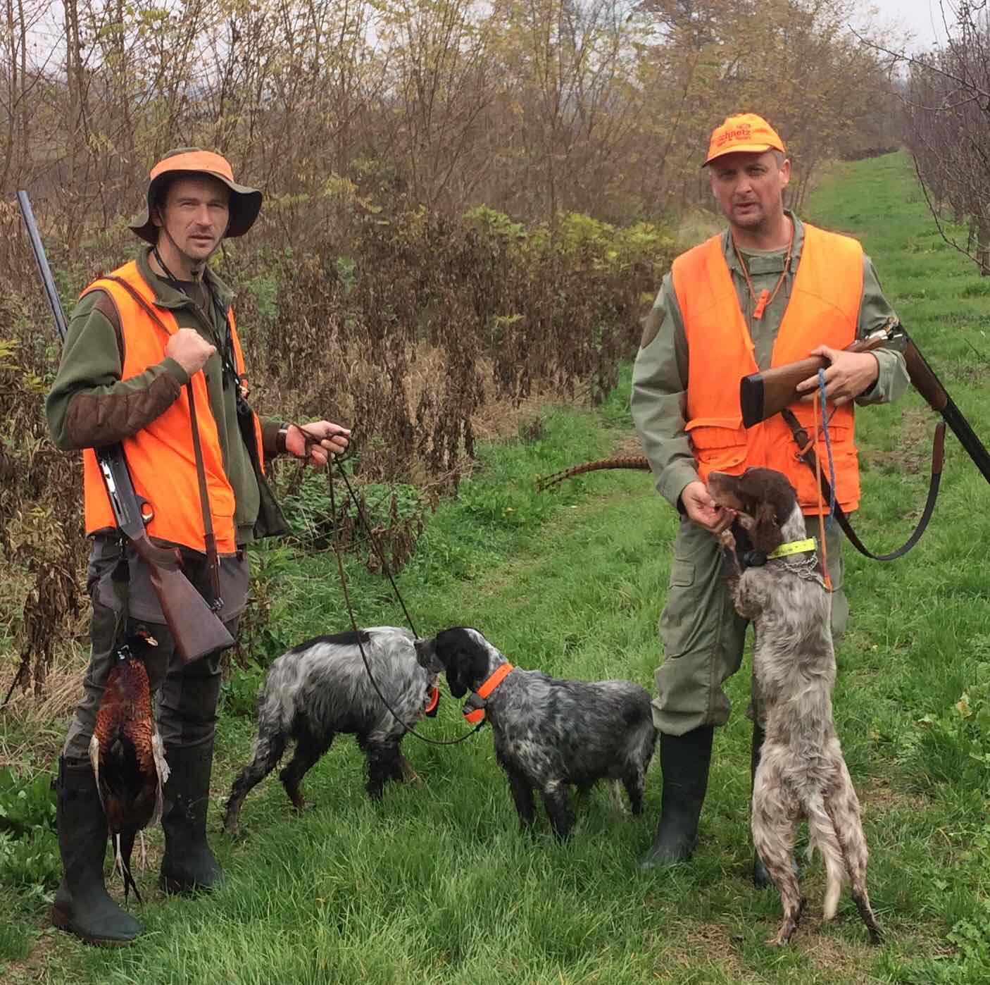 One month ago. r/birddogs