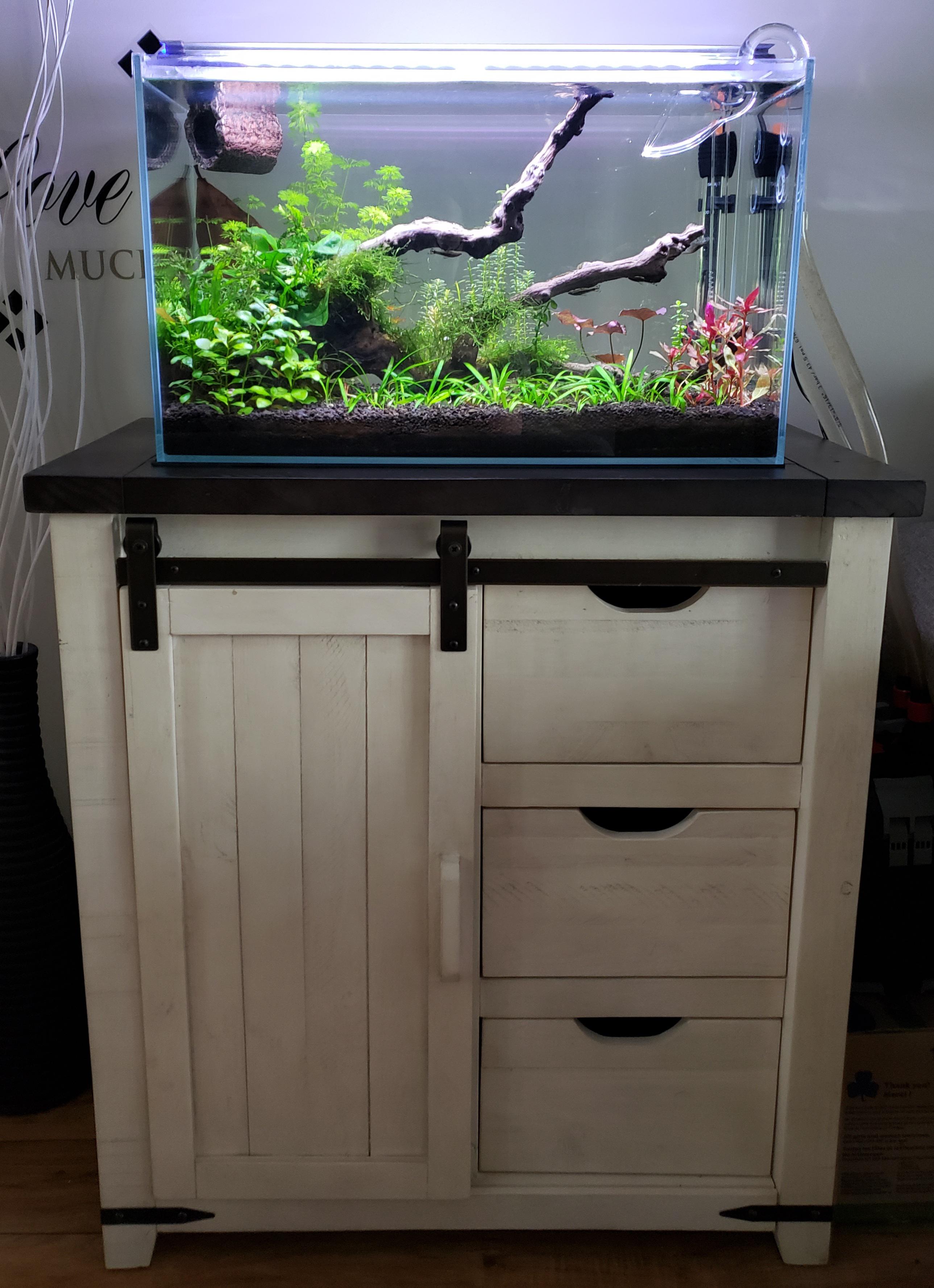 My aquarium and stand combo. I will be modifying the stand tomorrow to