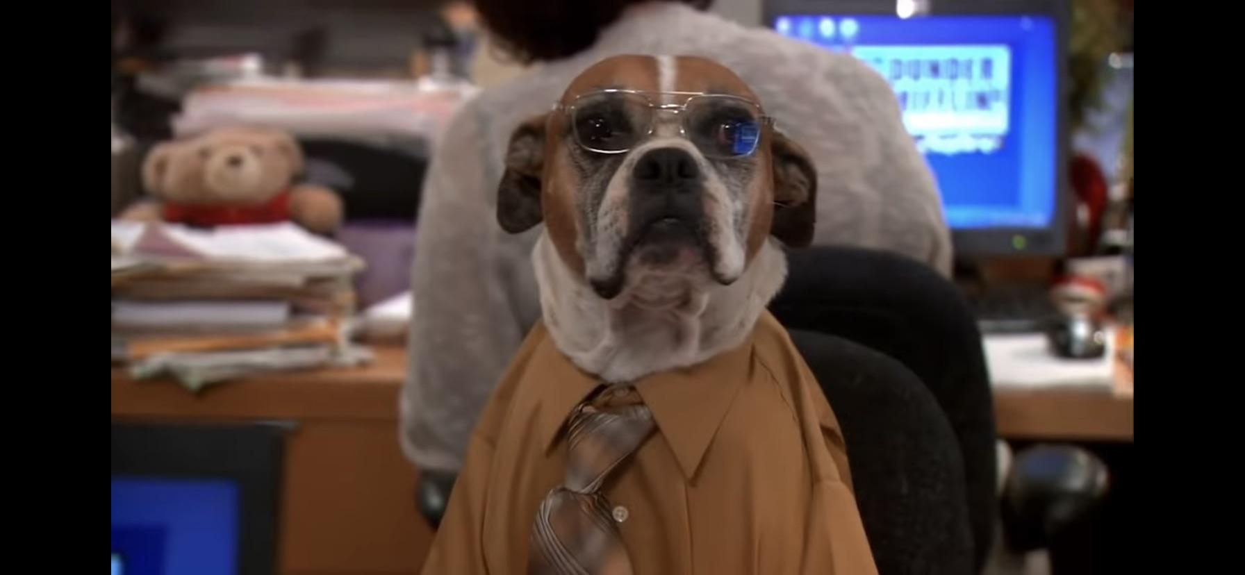 What da dog doin? Memes_Of_The_Dank