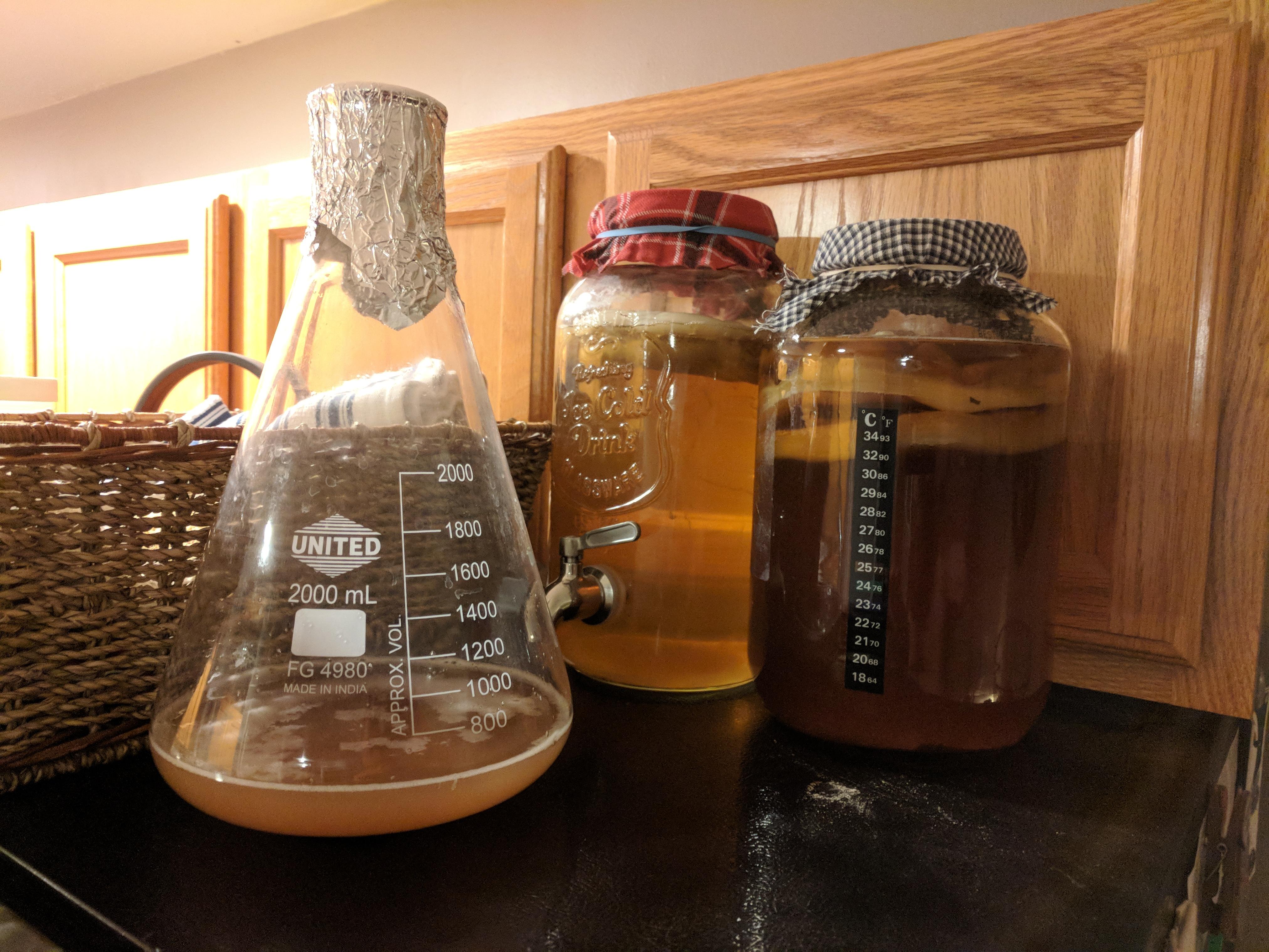Top of the Fridge r/Kombucha
