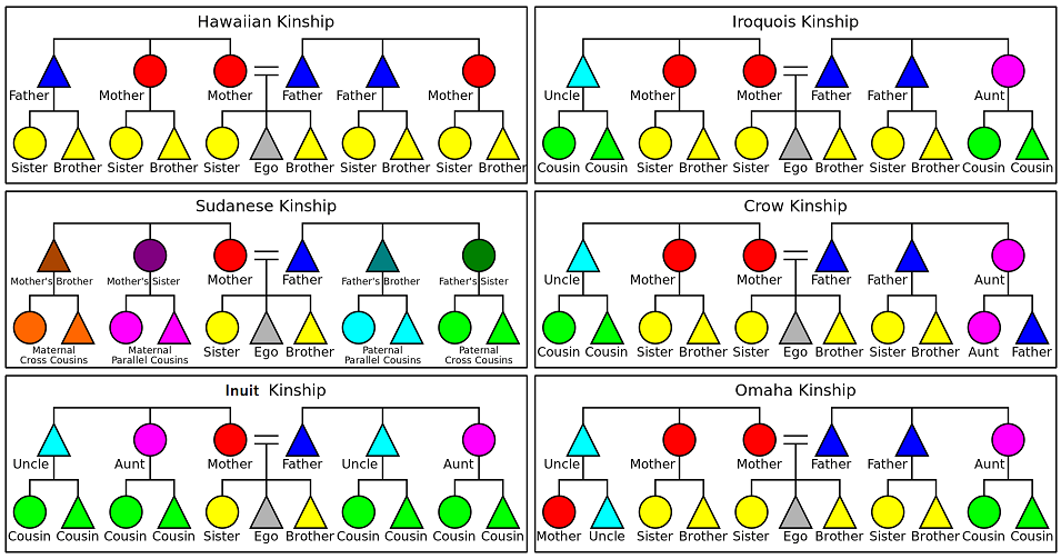 What kinship system does your conlang use? r/conlangs