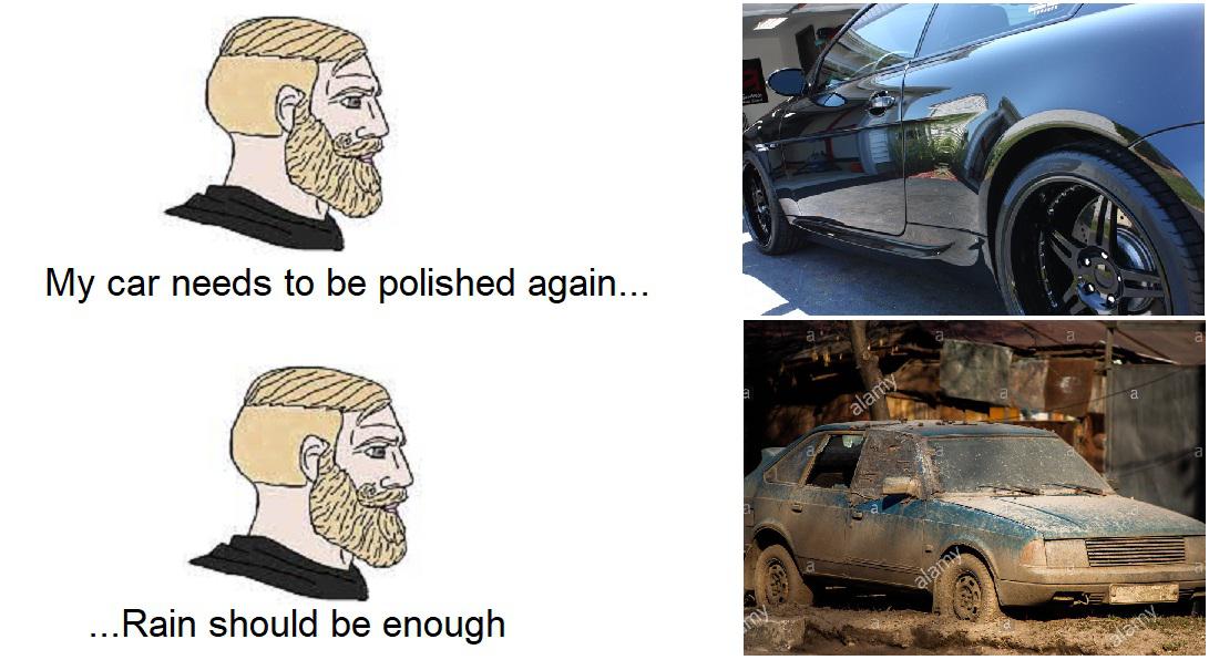 Two type of car owners... r/carmemes