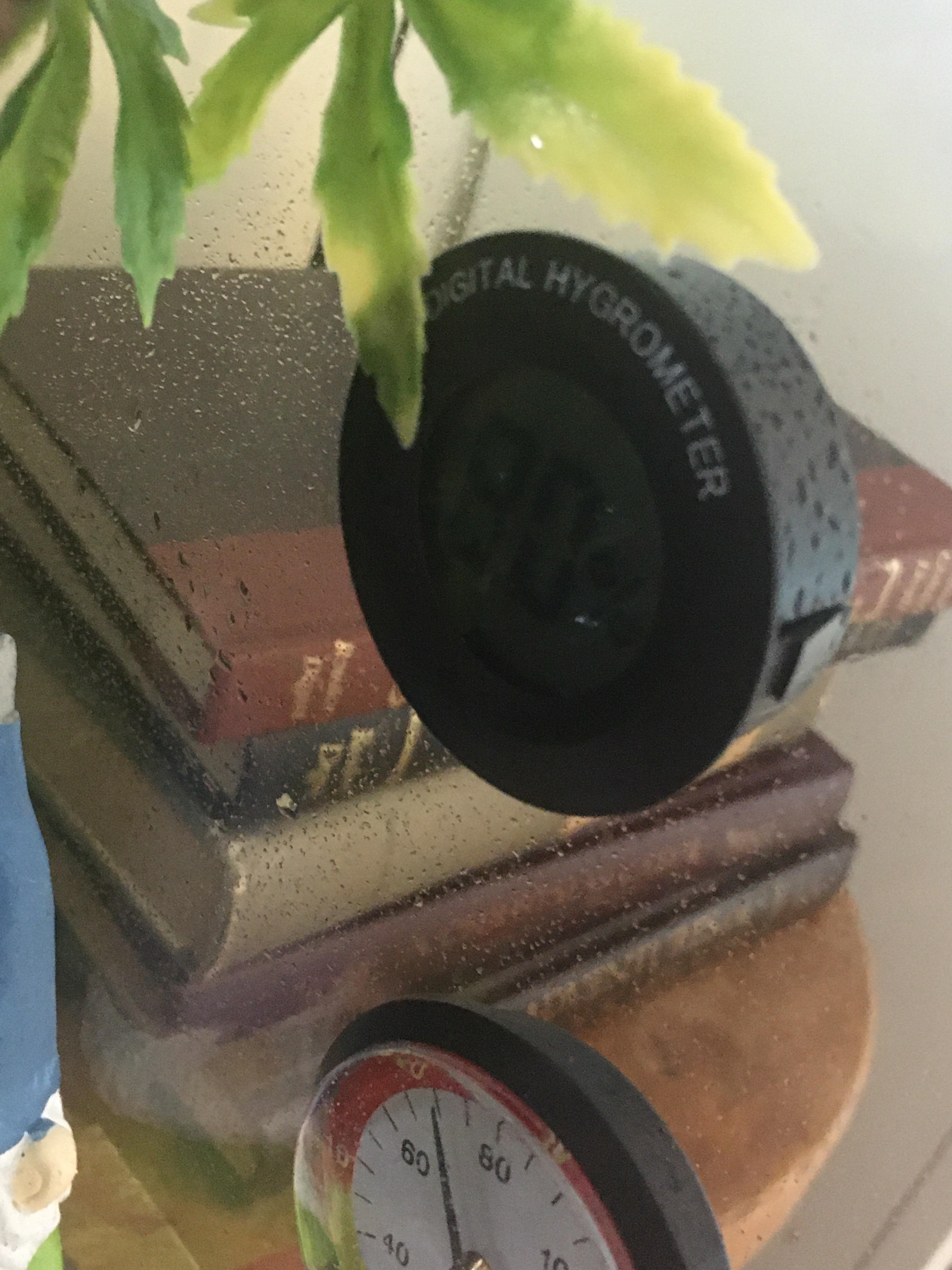 Are these thrive digital thermometers accurate? r/geckos