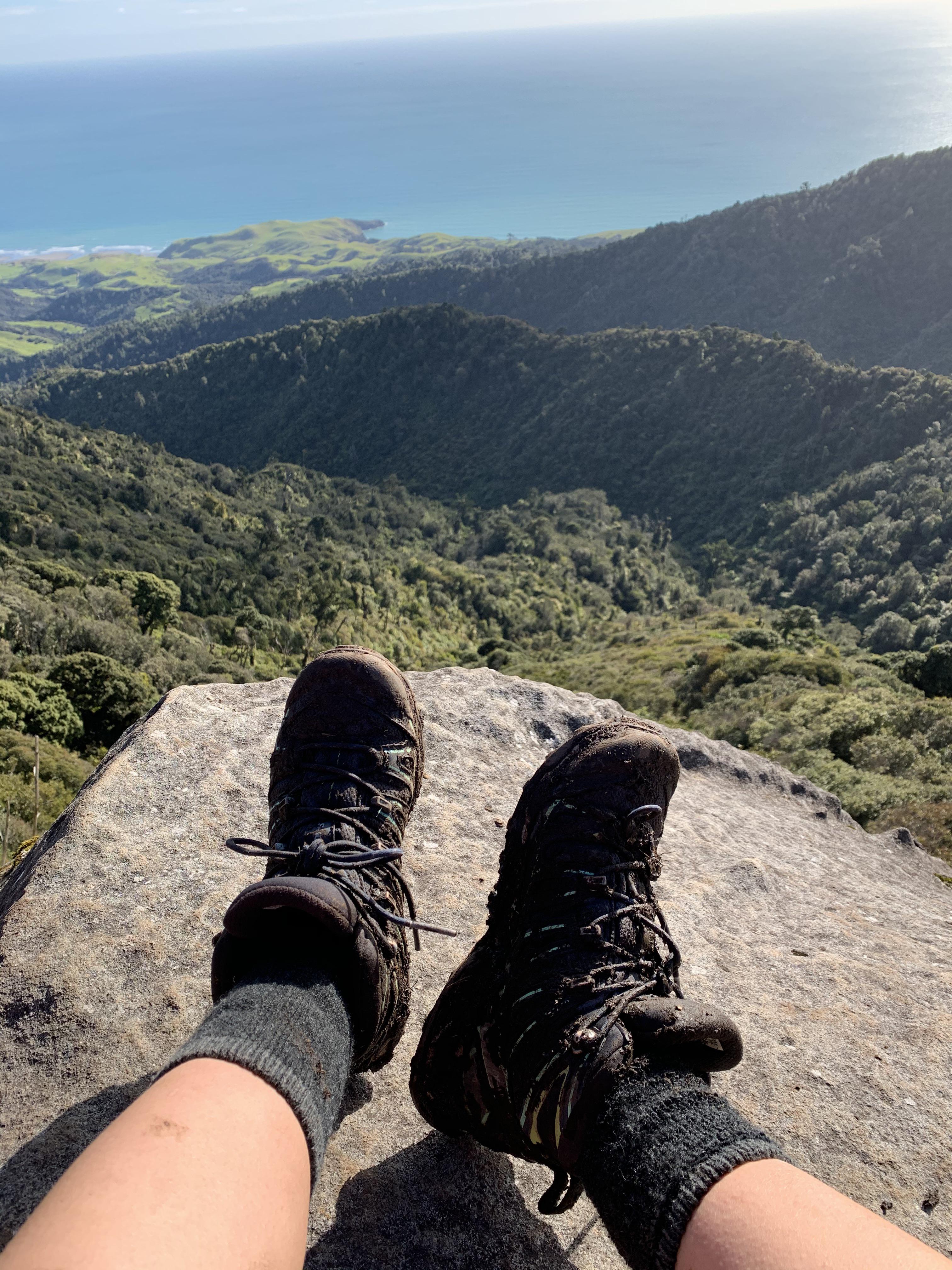 The best part of hiking is muddy boots. Mt Karioi Summit, New Zealand. (5 hours) r/hiking