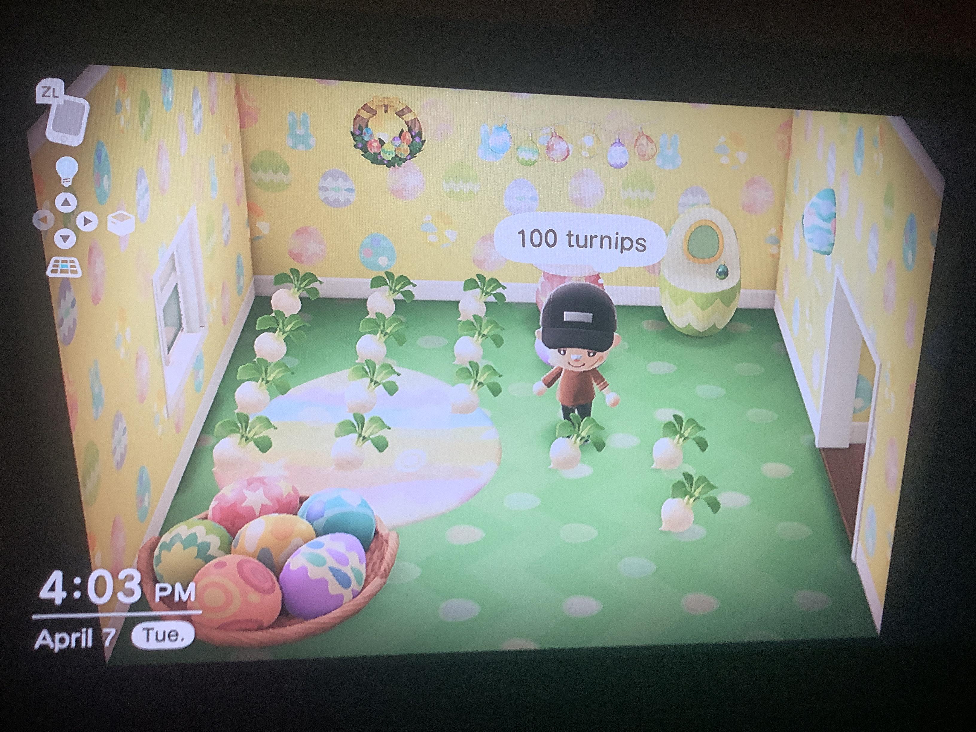 Anyone hav good turnip prices? Dodo code pls r/NewHorizonsAC