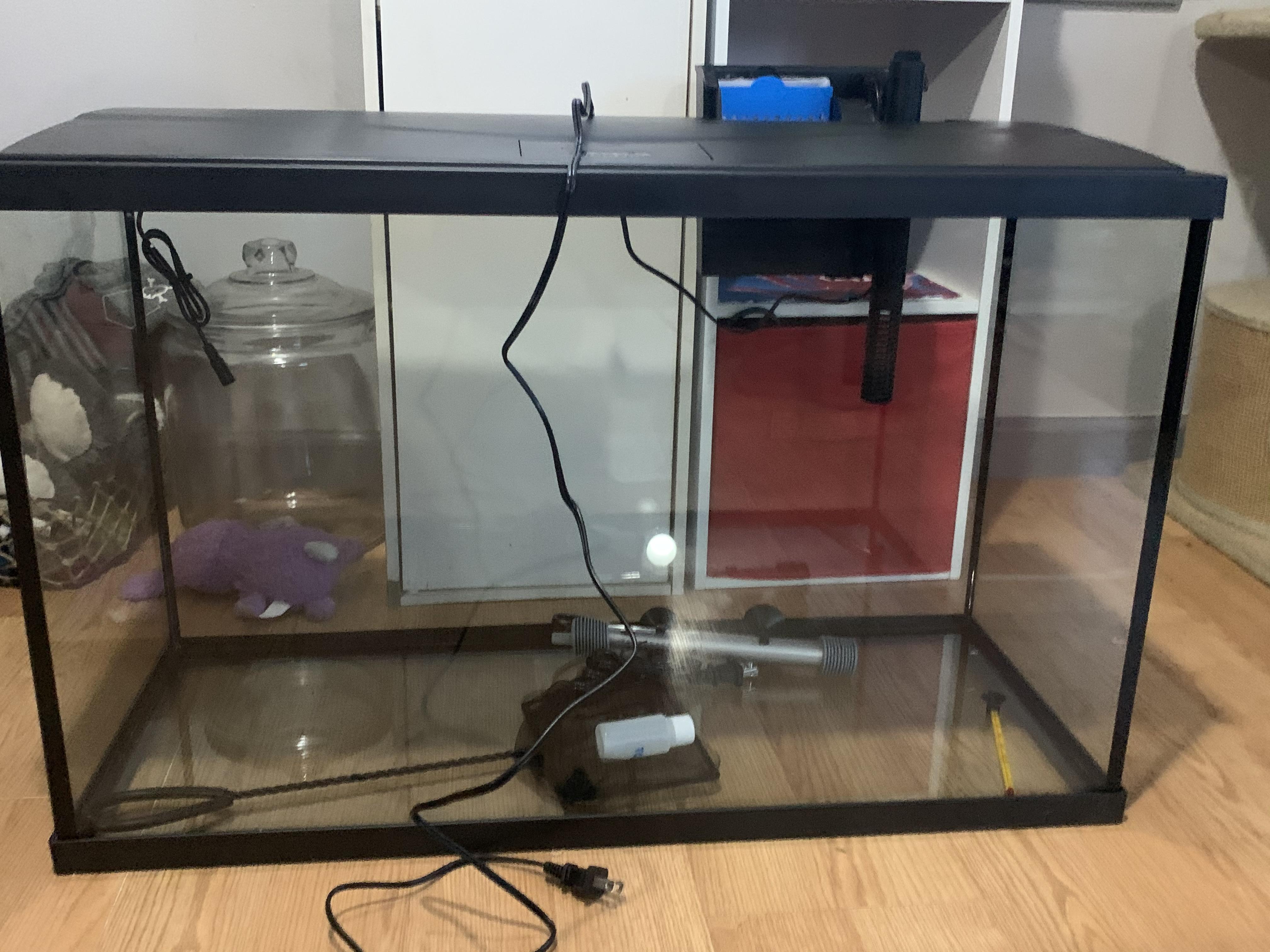 What are some stocking ideas for a 29 gallon? I need help finding a