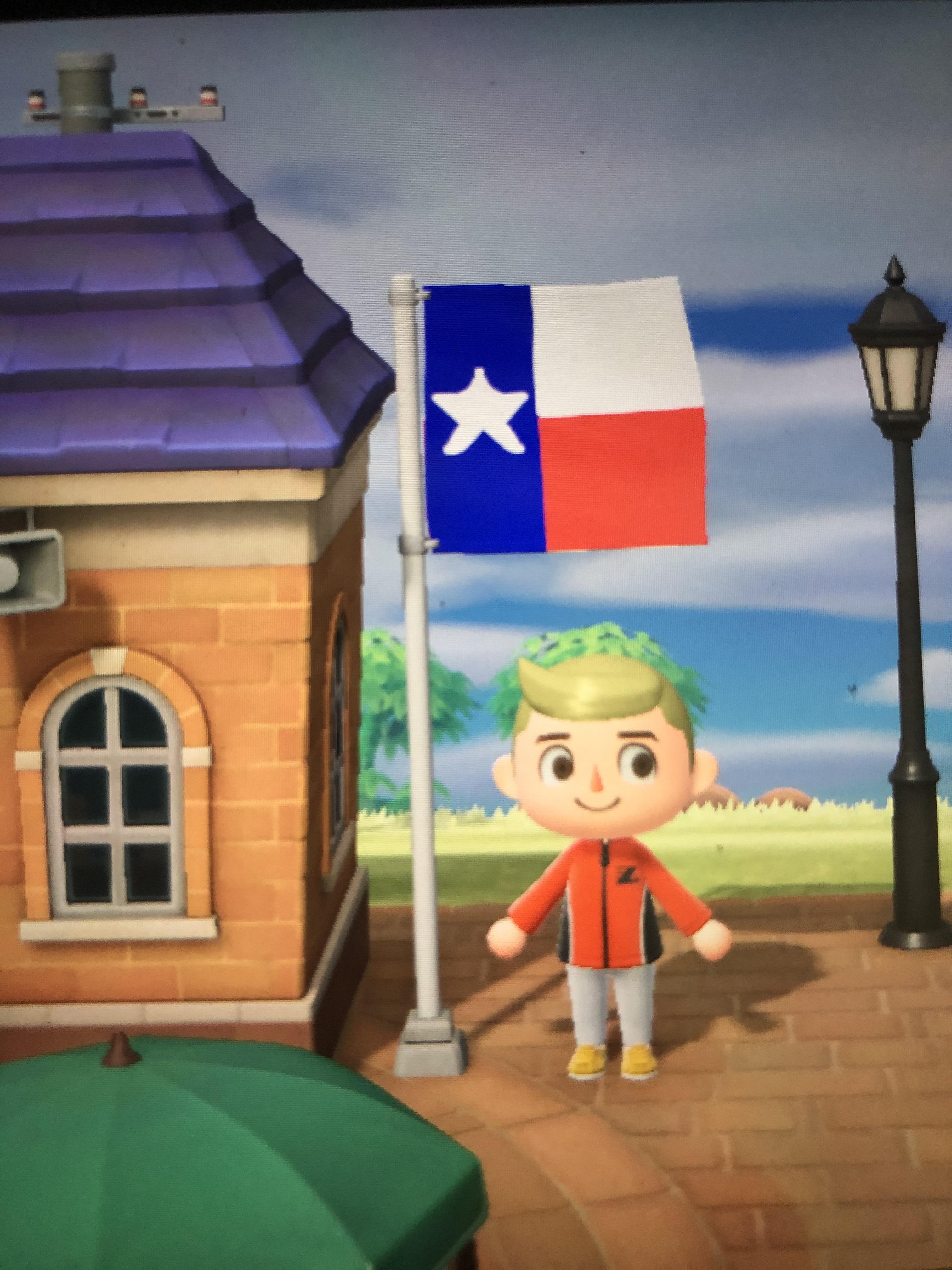 The only appropriate choice for my flag in Animal Crossing r/texas